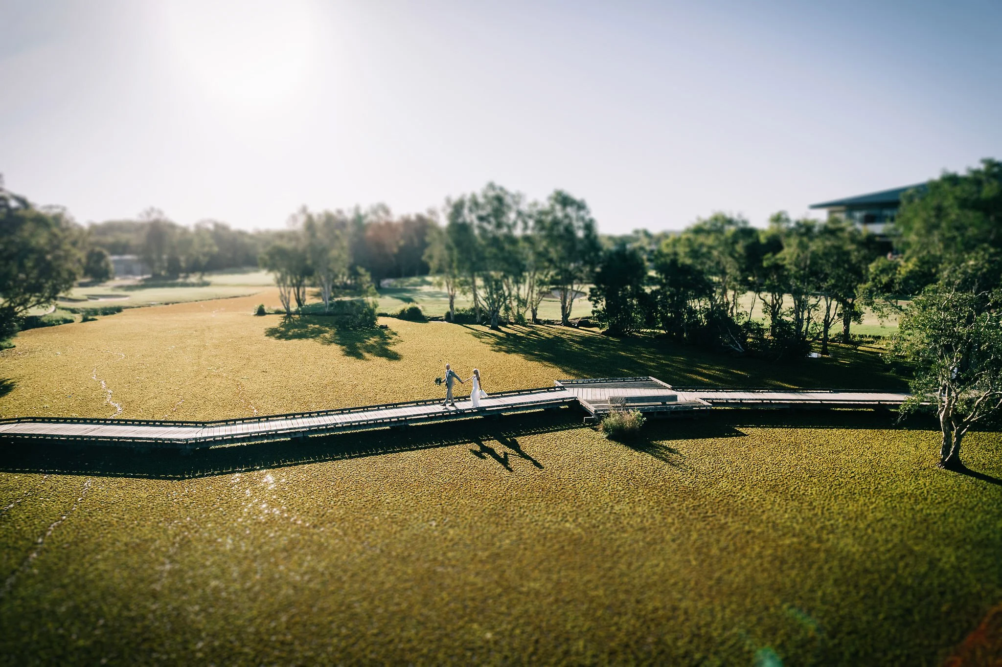 A bride and groom holding hands walking on a wooden bridge over a lush green field with trees surrounding the area, sun shining in the sky. Central Coast NSW Wedding. David Maltby Images