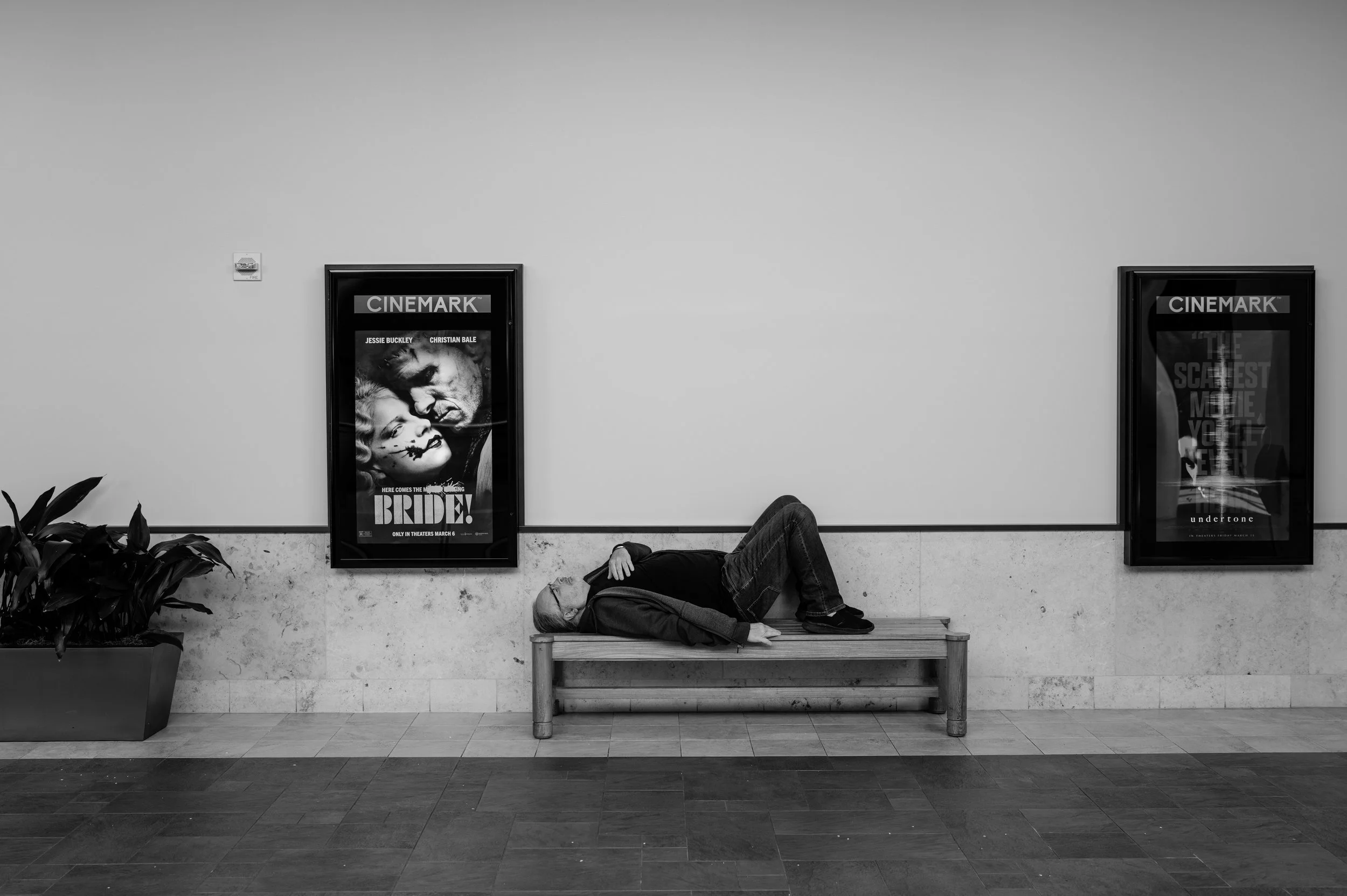 L1010746.jpg