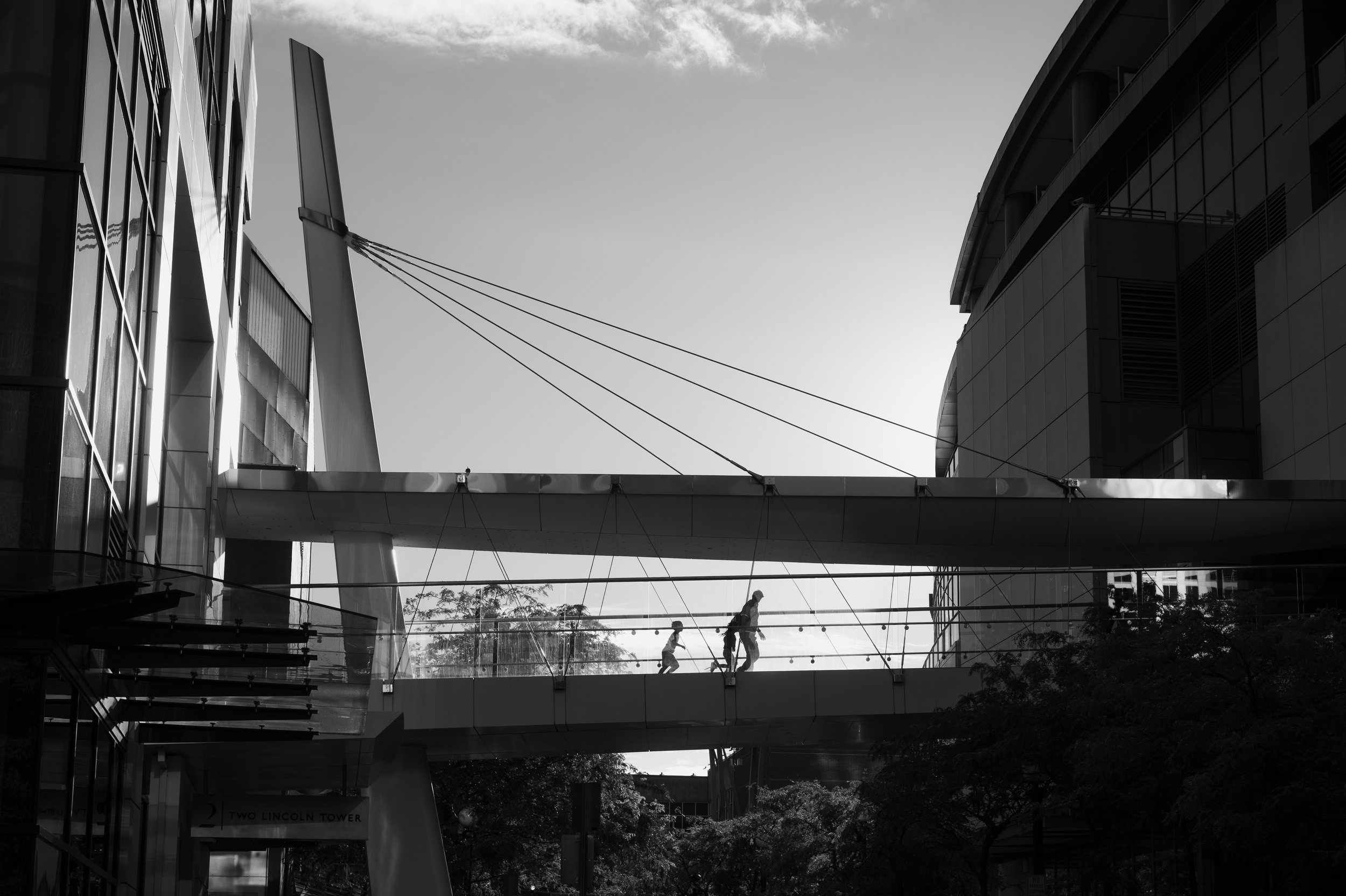 L1014517.jpg