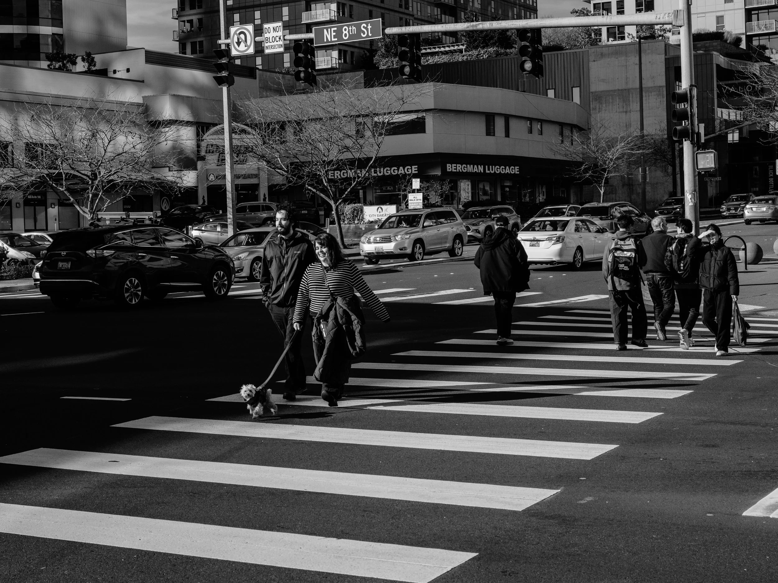 L1004239.jpg