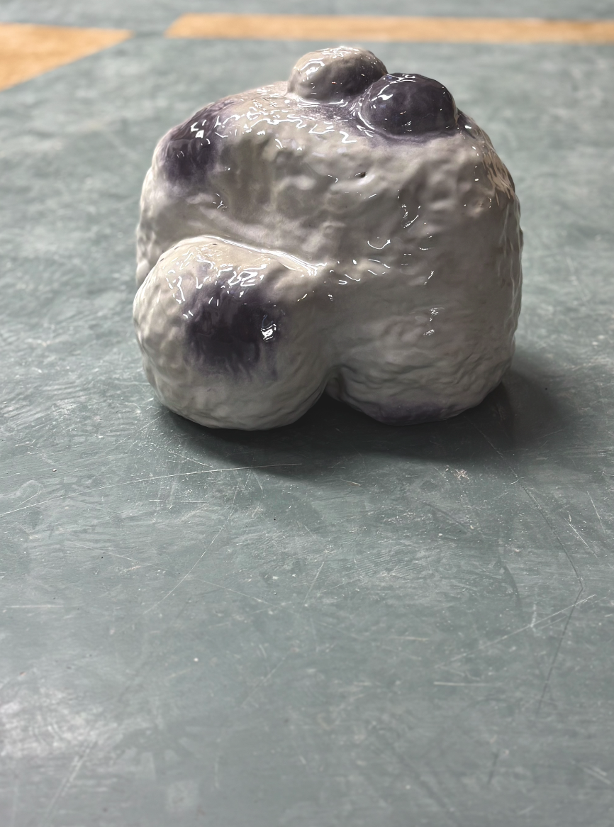 Schermafbeelding 2026-02-10 om 17.02.24.png