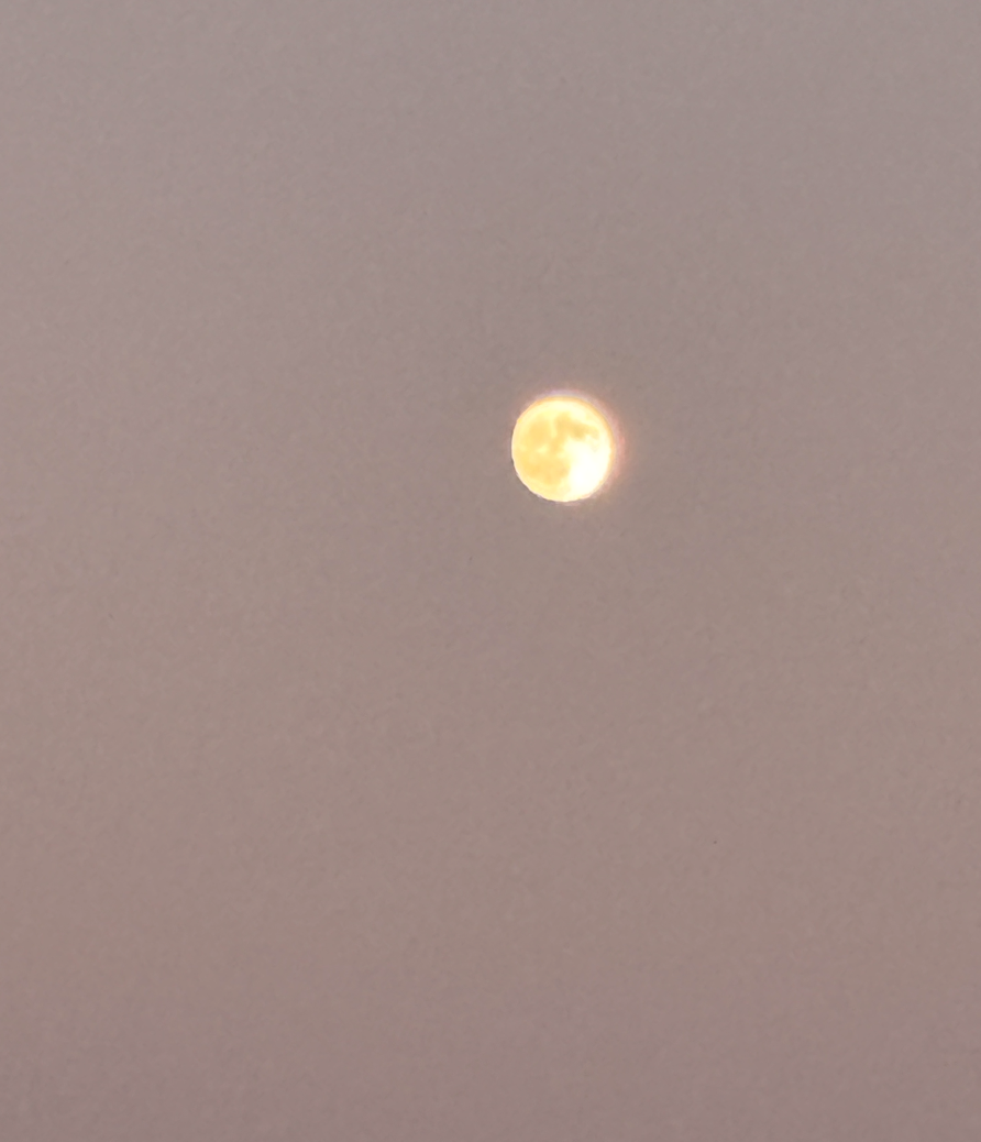 Schermafbeelding 2026-02-10 om 16.58.21.png