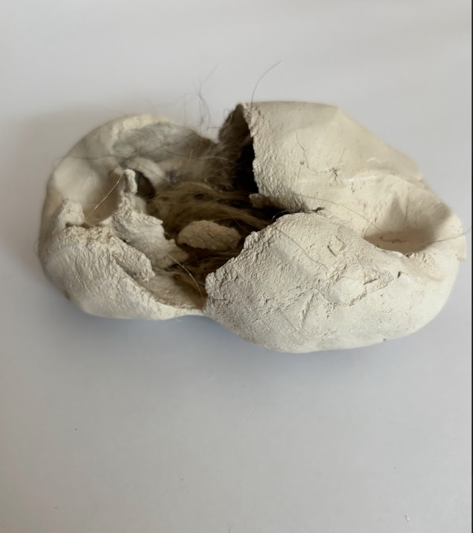 Schermafbeelding 2026-02-01 om 14.14.02.png