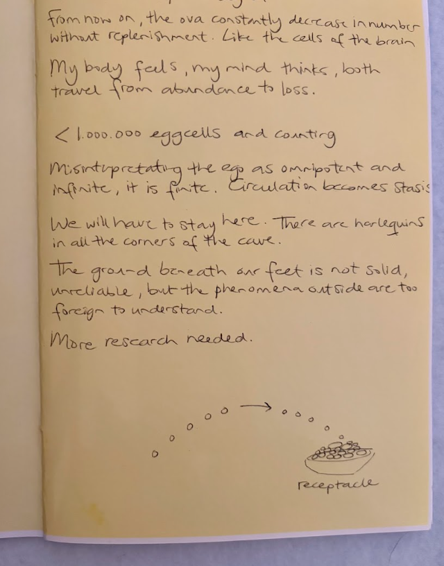 Schermafbeelding 2026-02-08 om 13.32.24.png