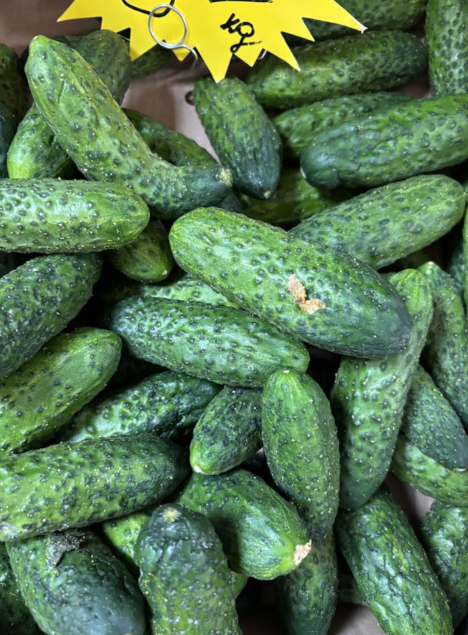 Schermafbeelding 2026-04-01 om 10.59.06.png