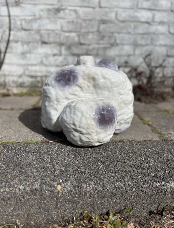 Schermafbeelding 2026-04-01 om 11.01.01.png