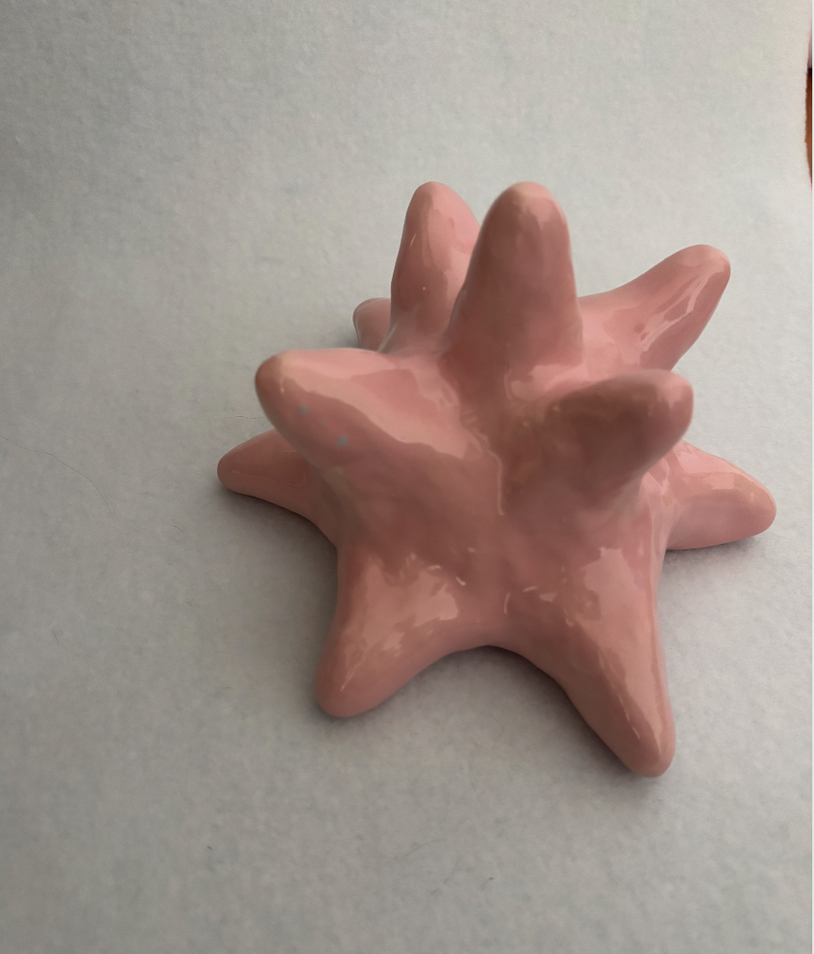 Schermafbeelding 2026-02-01 om 15.20.53.png