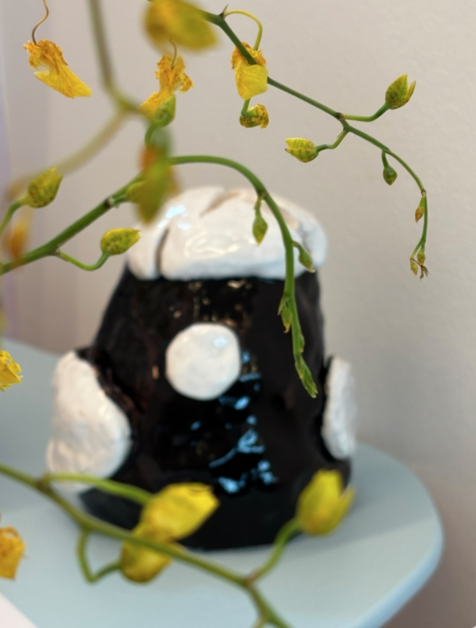 Schermafbeelding 2026-02-01 om 15.18.15.png