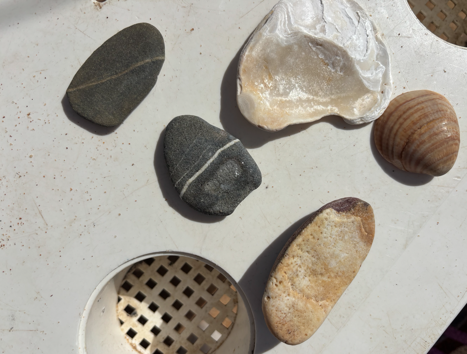 Schermafbeelding 2026-02-10 om 16.58.54.png