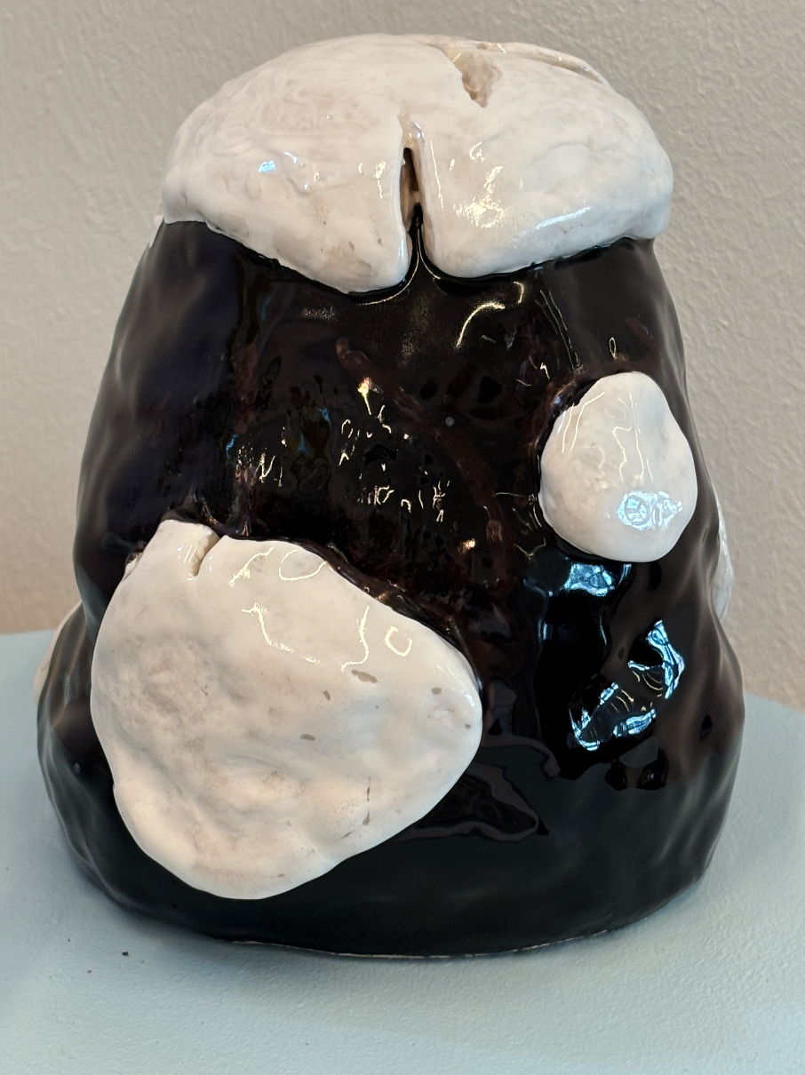 Schermafbeelding 2026-02-01 om 15.16.02.png