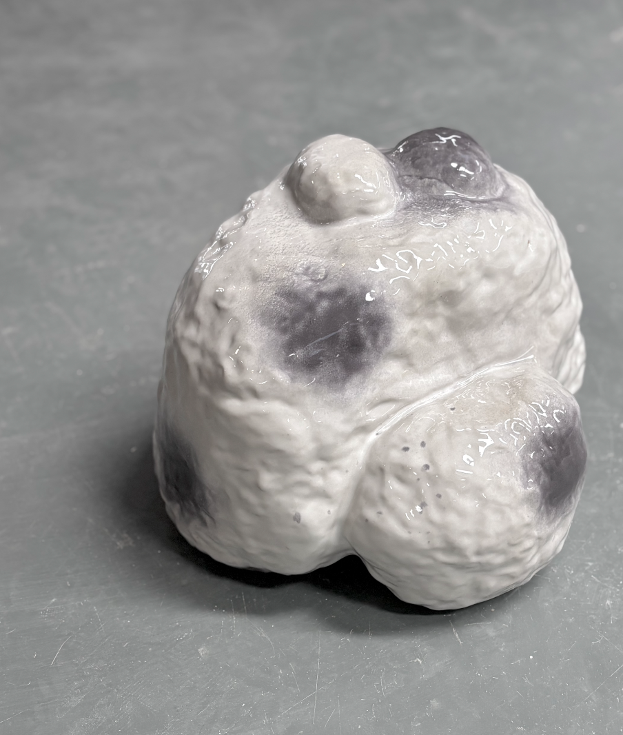 Schermafbeelding 2026-02-10 om 17.03.14.png