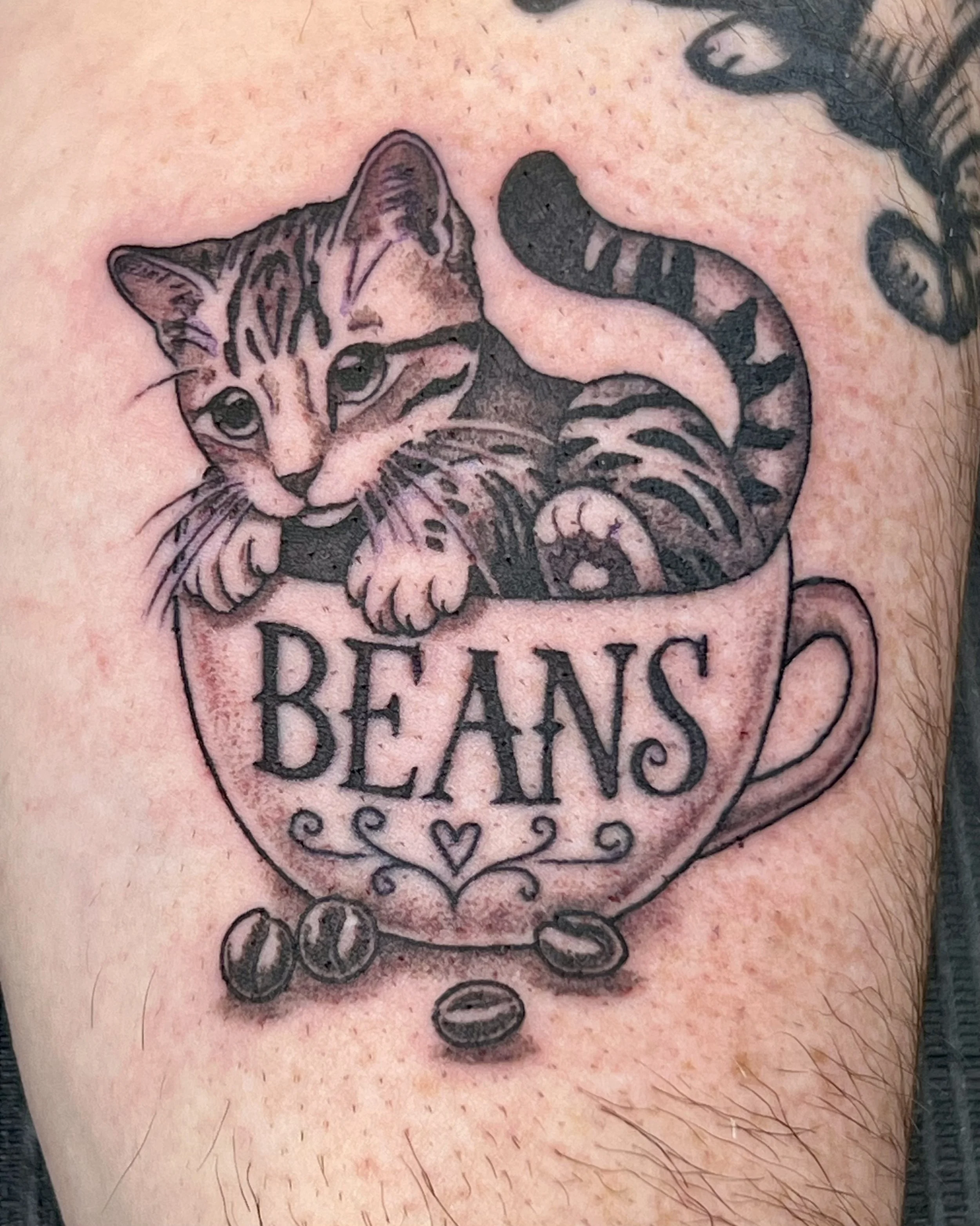 Tattoo of a kitten with the words 'Dreams' and images of coins on skin with hair.