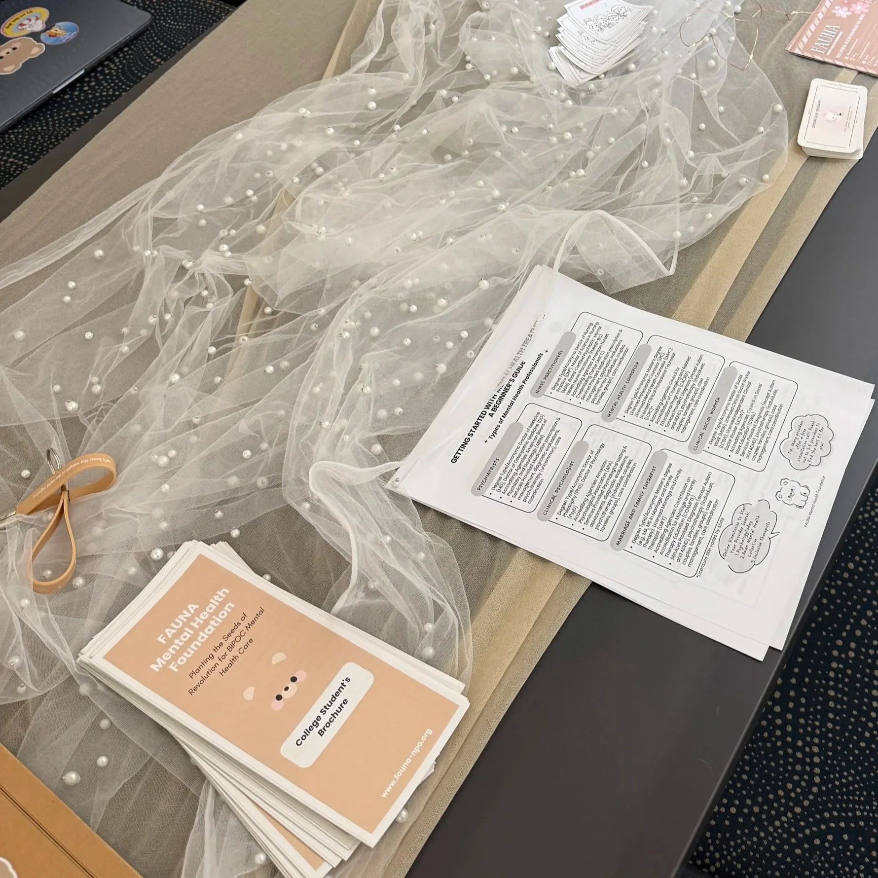 FAUNA table at the Bellevue Library Community Court Resource Center