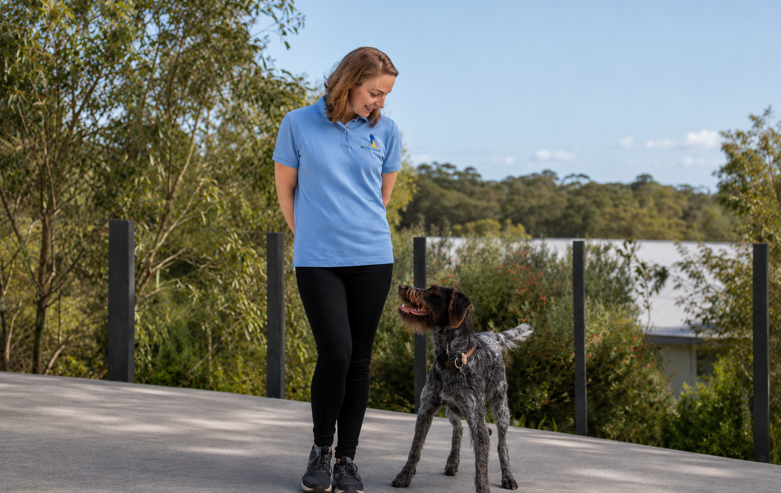 Professional dog training and behaviour support in Adelaide helping dogs and families thrive together