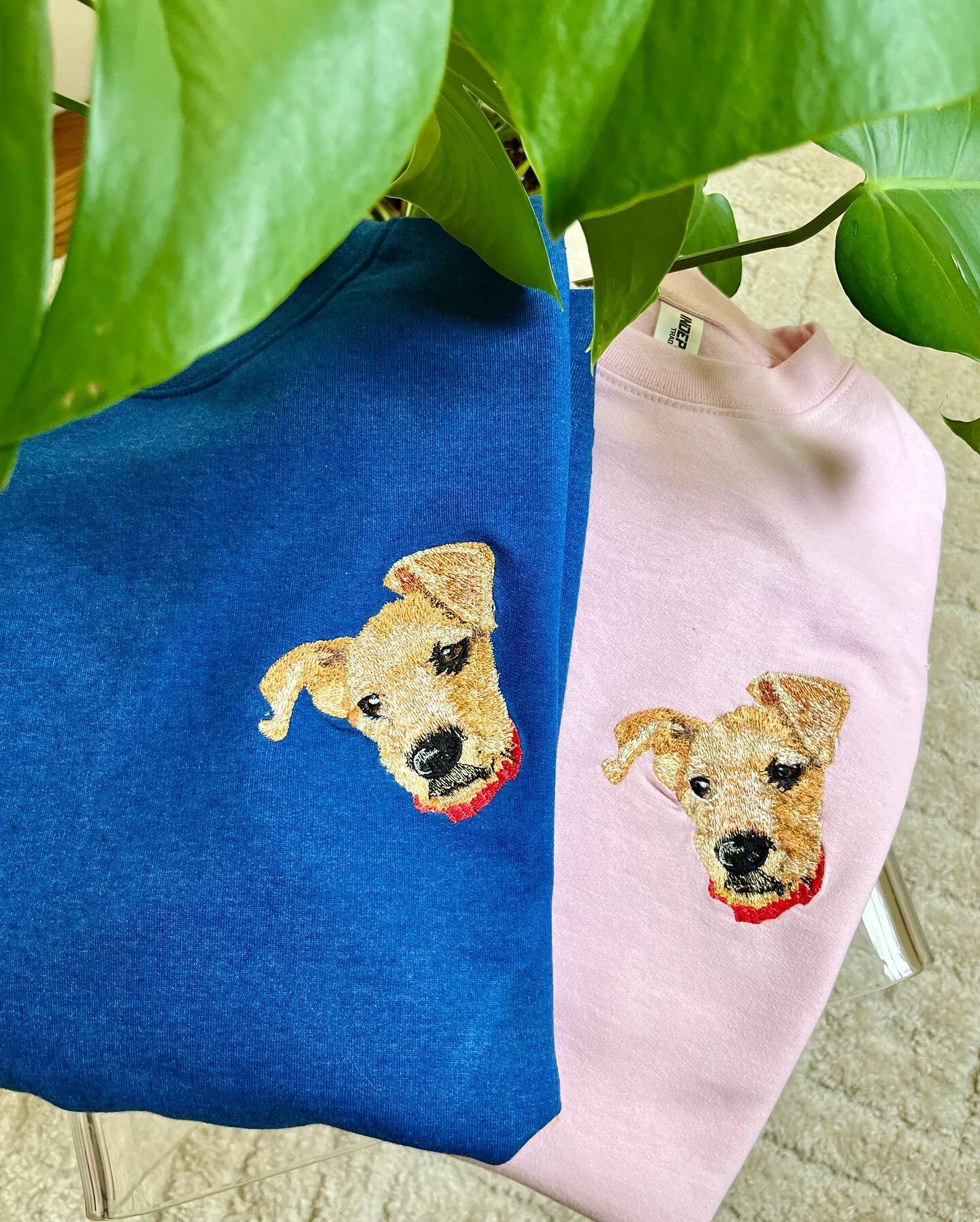 His &amp; Hers 💙💗🐾
How adorable is this pup ?! 🥹