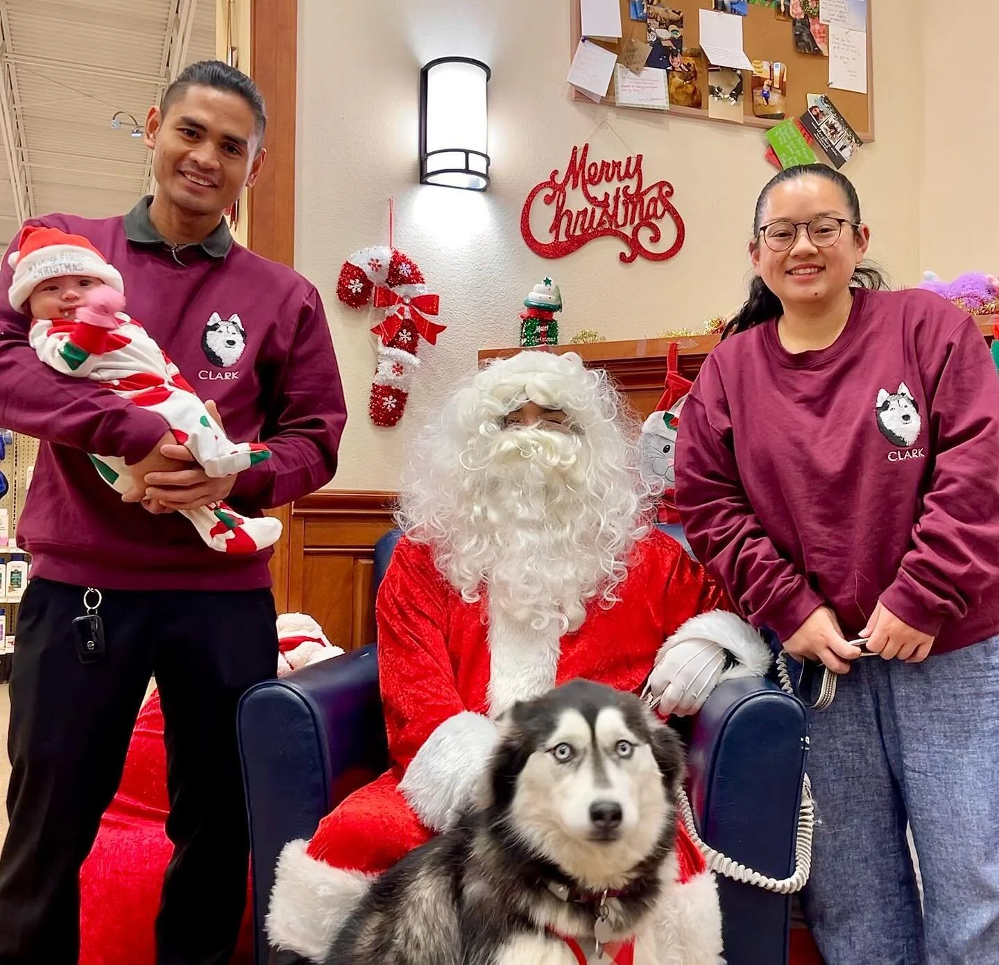 Merry Christmas! 🎄🐾🎅🏼
Hoping you&rsquo;ve ended up on Santa&rsquo;s nice list like this beautiful fur family 🎁