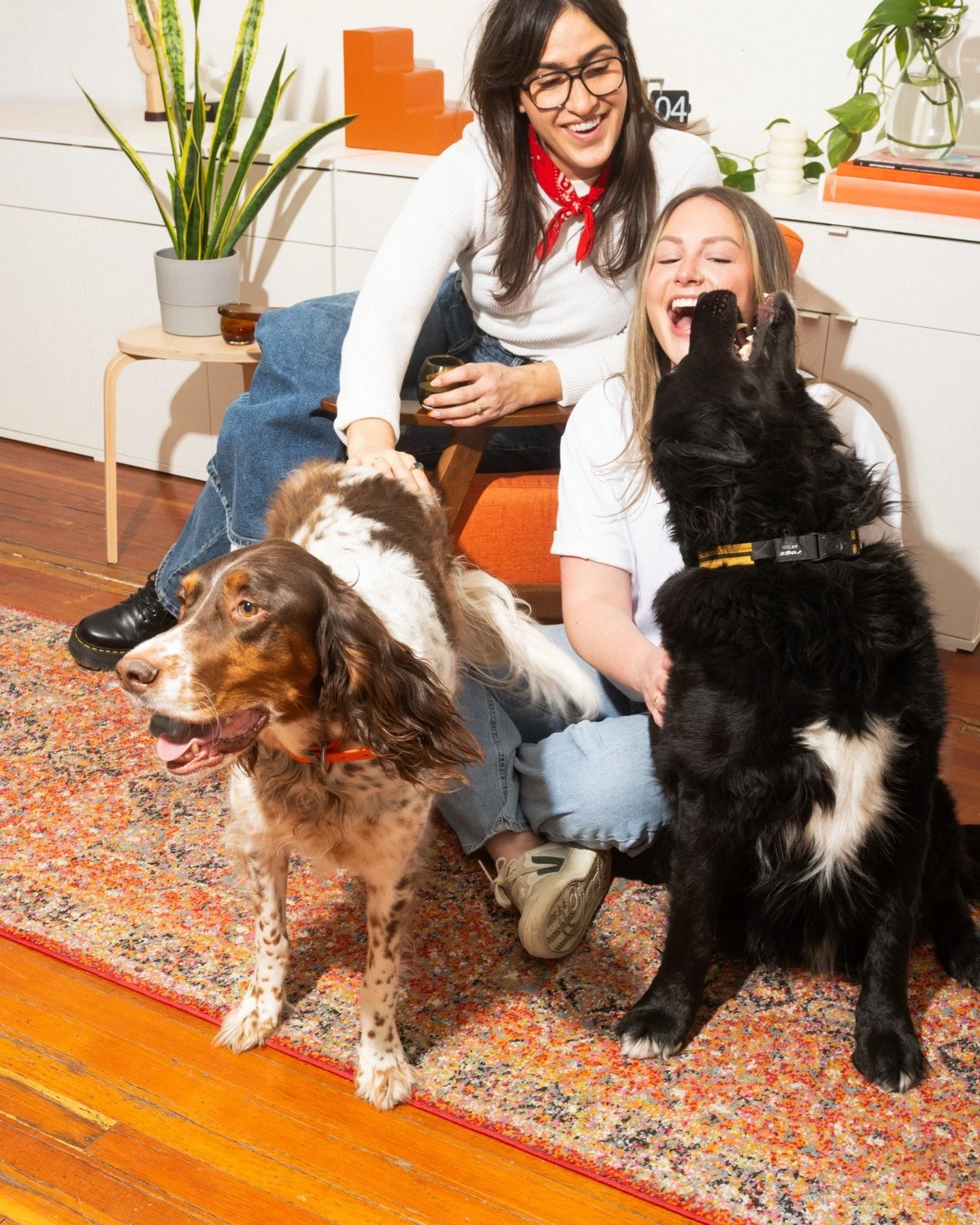 A sneak peek of this shoot for @higgiespet and @we.are.grant 

Art Direction: @t.eagz 
.
.
.
.
.
.
#brandphotographycalgary #commercialphotographyvancouver #calgarycommercialphotographer #vancouvercommercialphotographer #petstorecanada