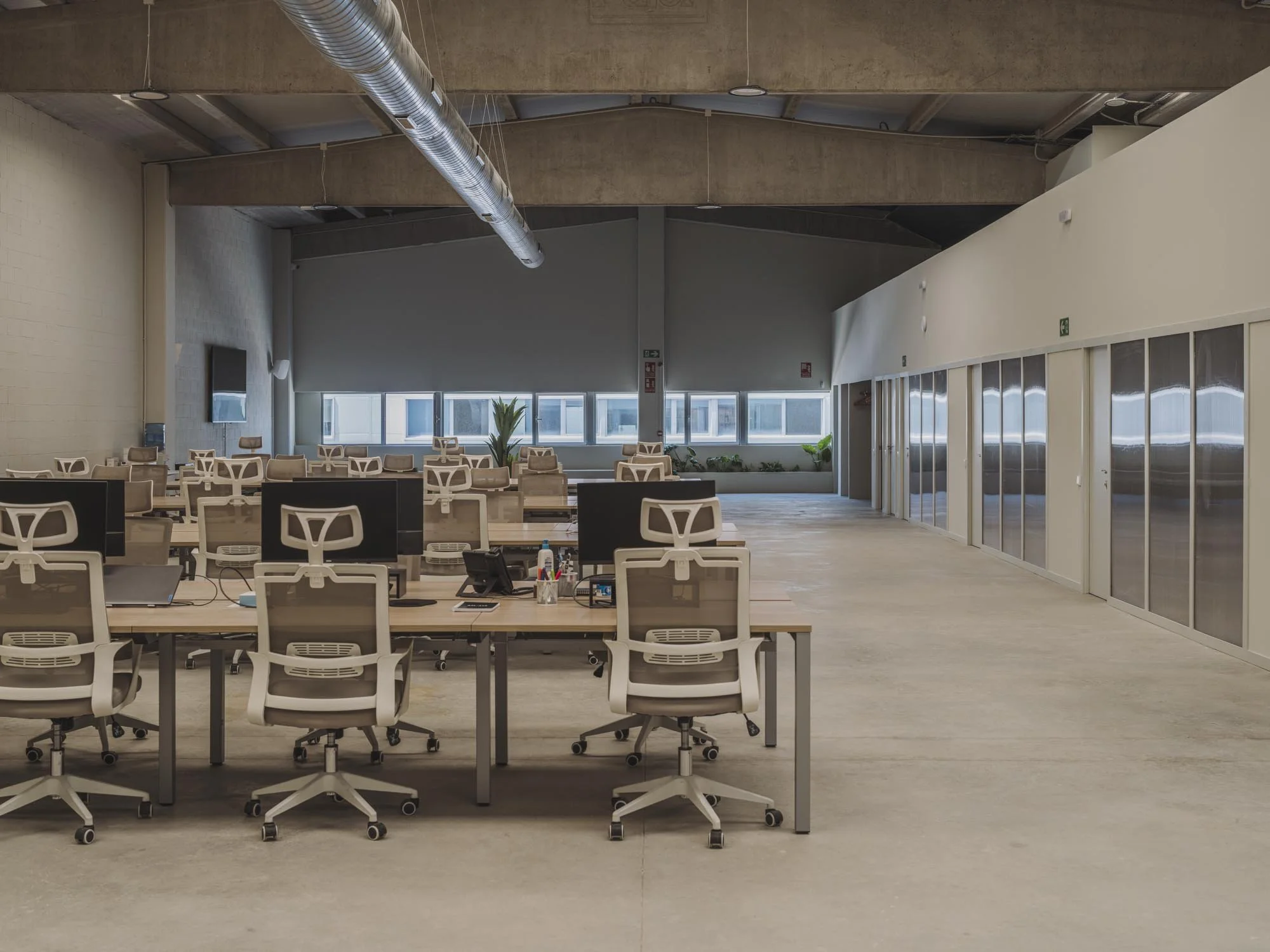 Oficina moderna con varias mesas de trabajo, sillas blancas con respaldo ergonómico, ordenadores, y ventanas grandes al fondo con plantas decorativas.