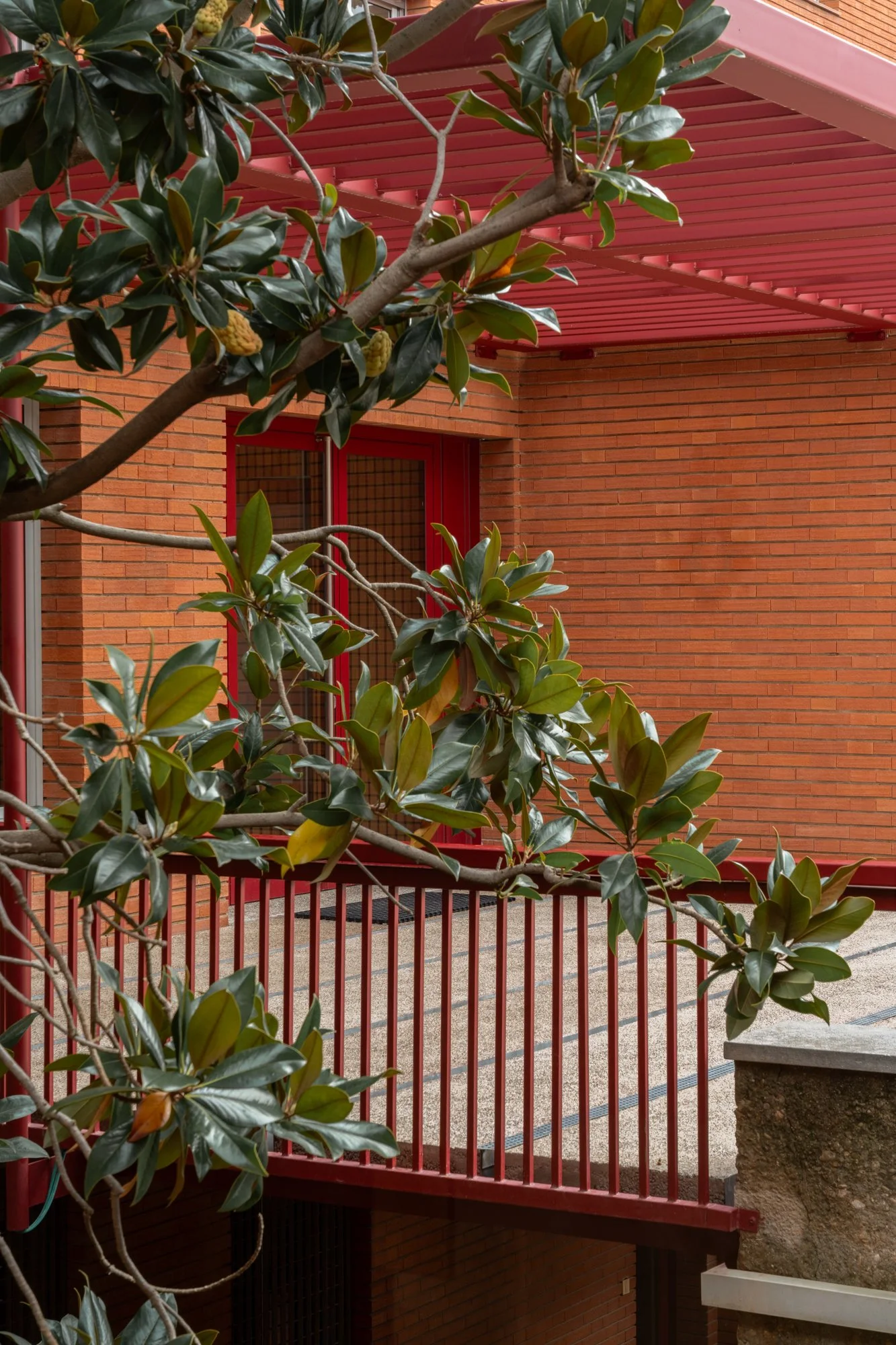 Vista de un edificio de ladrillos con barandilla roja, planta en primer plano con hojas verdes y ramas de un árbol.