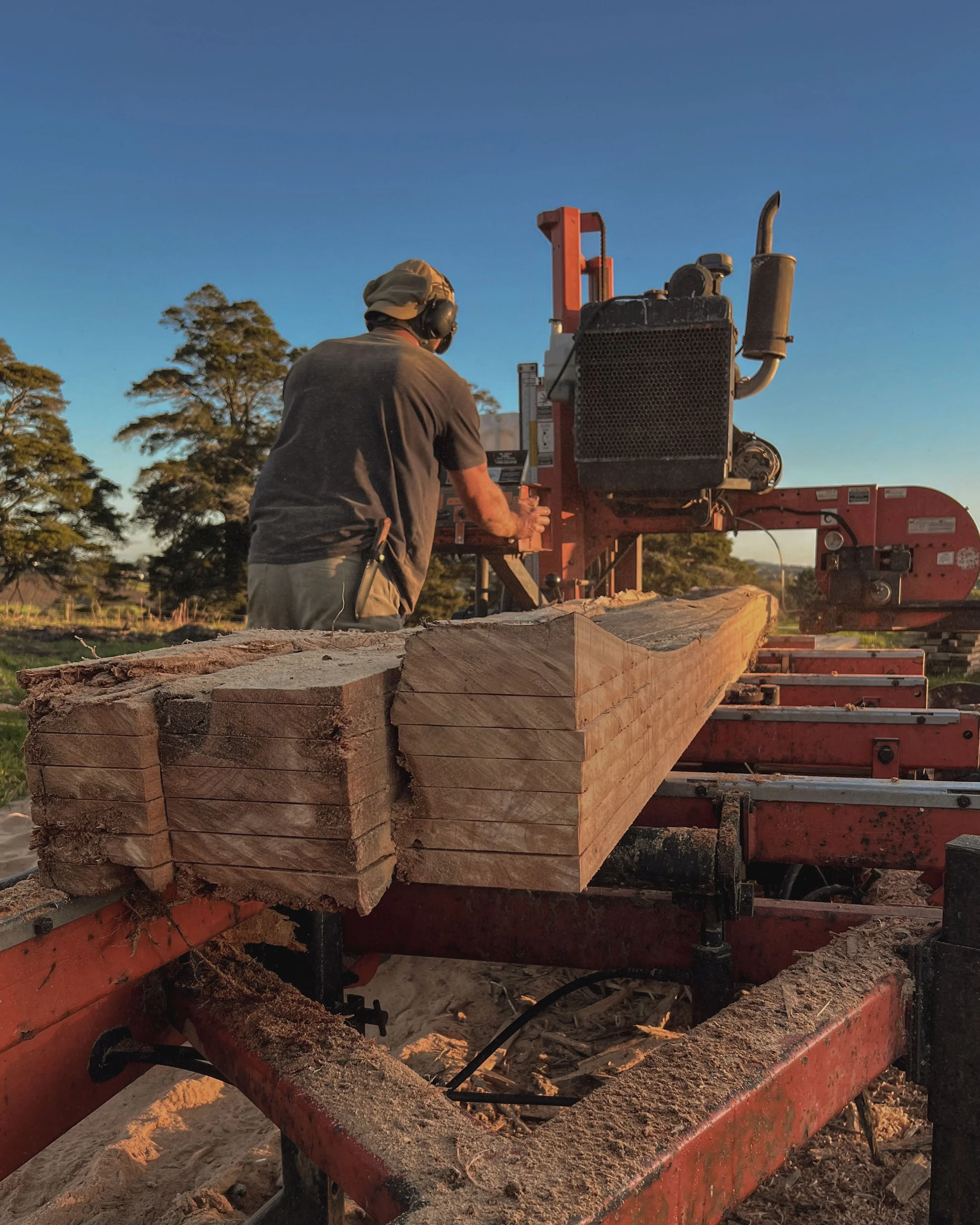 Wood-Mizer Portable Sawmill Macrocarpa