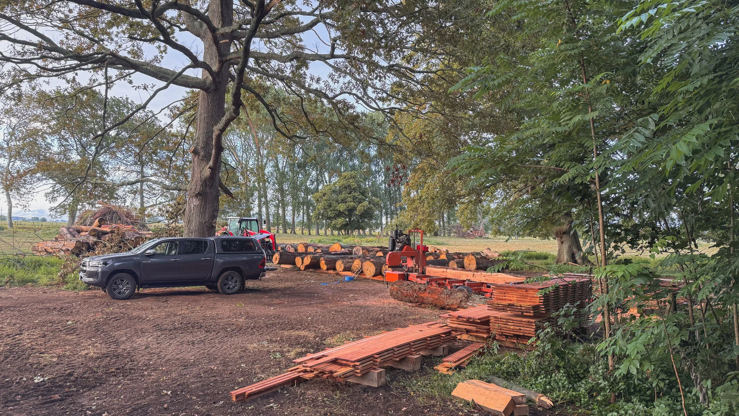A large outdoor scene with cut logs, a portable sawmill and machinery equipment under large trees with green foliage in the background.