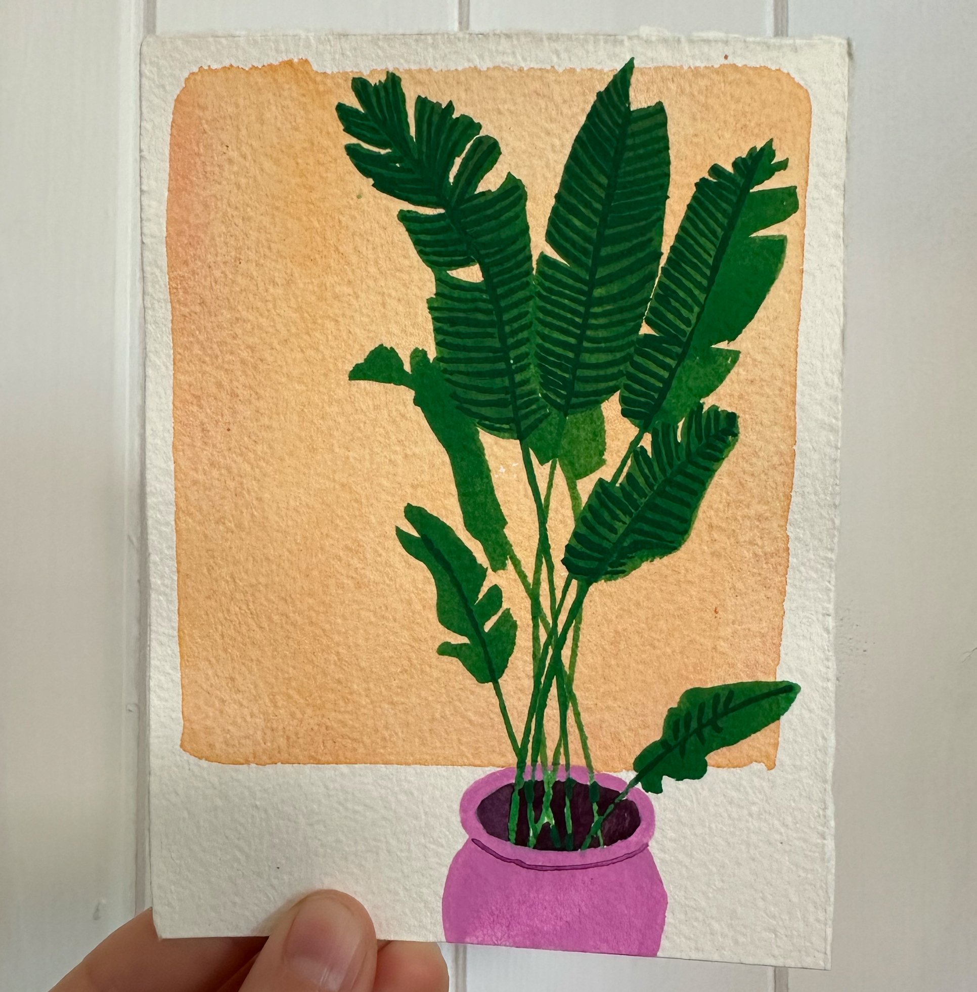 original13_birdofparadise2.jpg