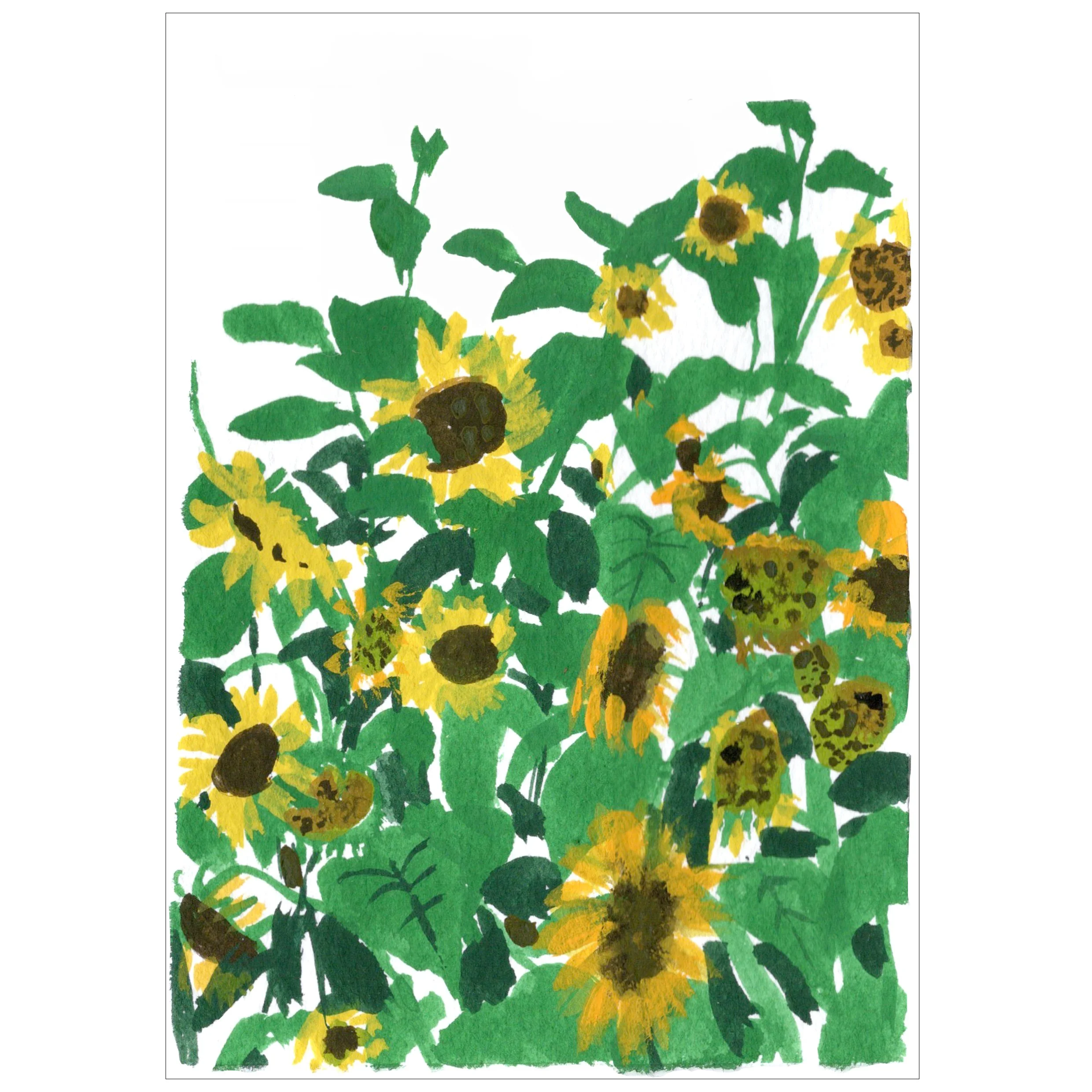 sunflowers.jpg