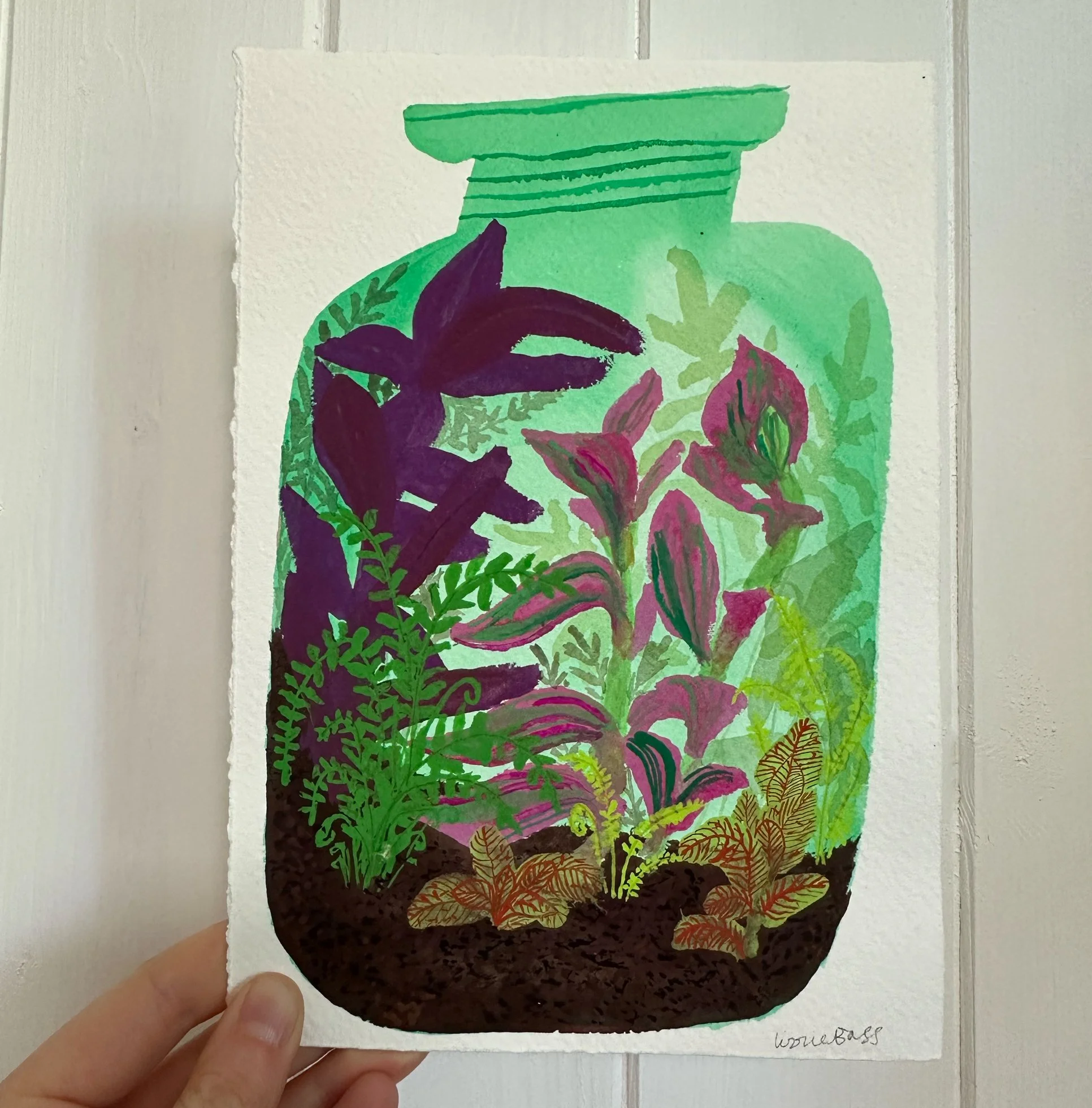 original16_terrarium.jpg