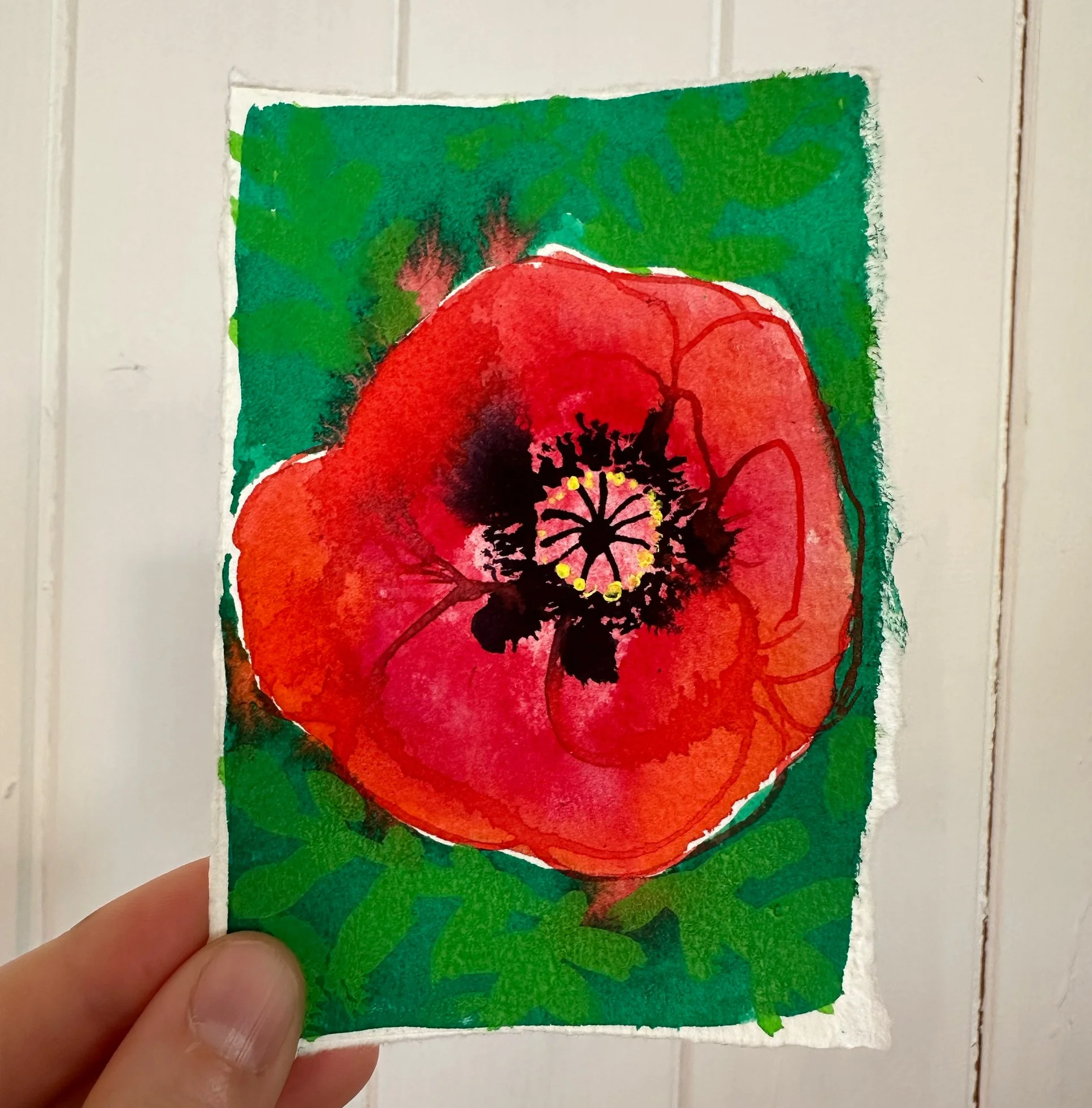 original4_poppy.jpg