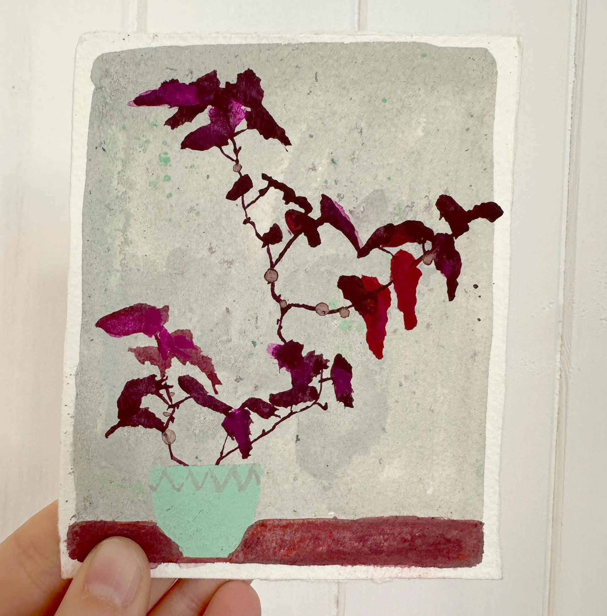 original11_begonia.jpg