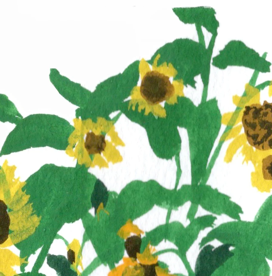 sunflowers1.jpg