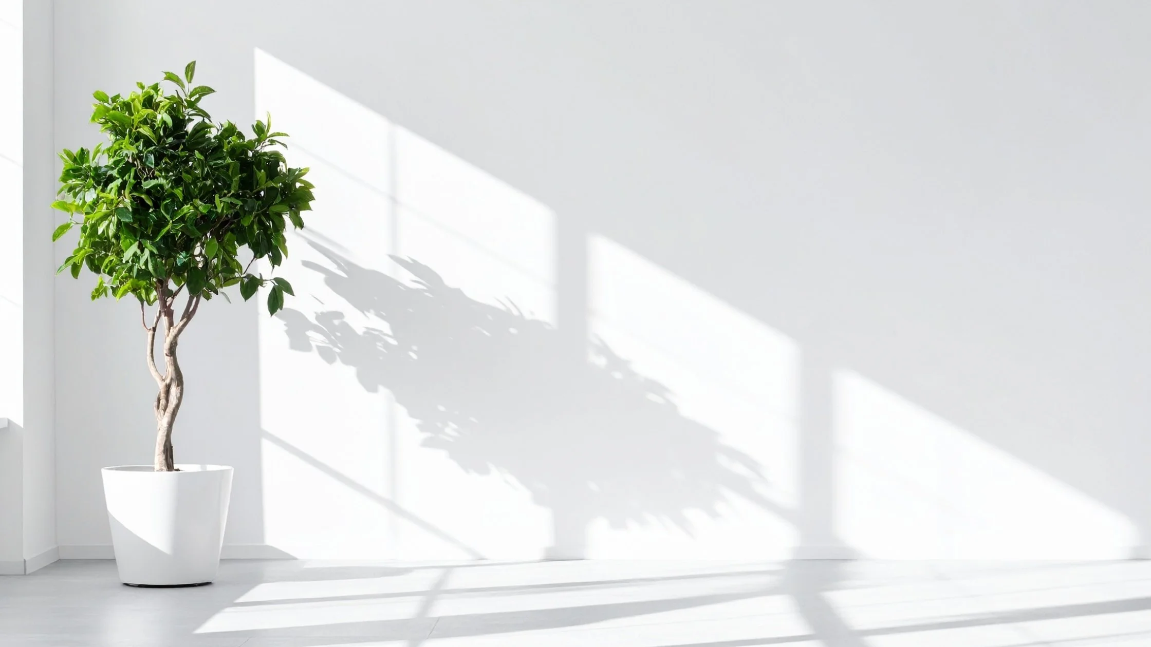 List Now's Deeply Embedded Property Suite Integration