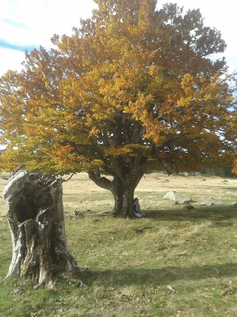 Emmanuelle Forslund.jpg