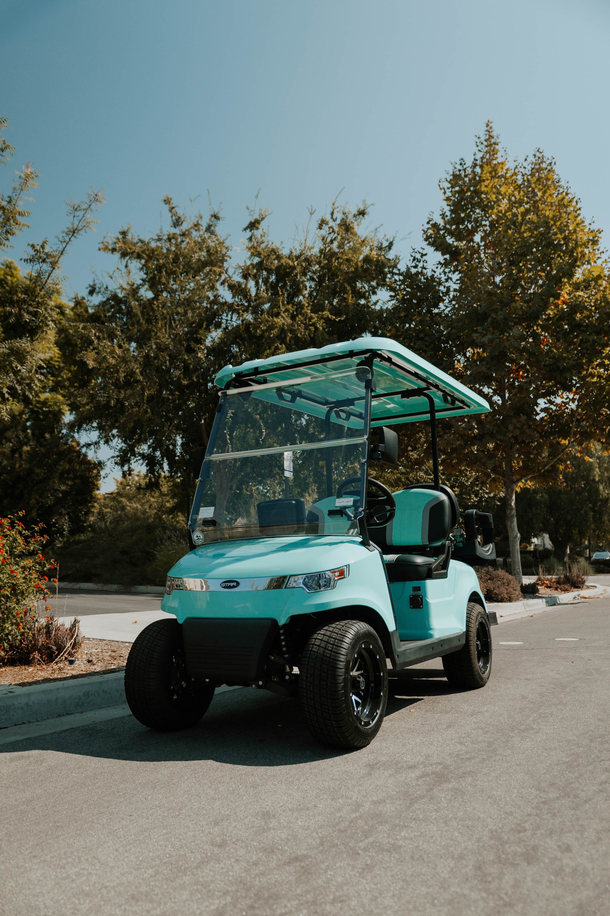 US STAR EV Golf Cart