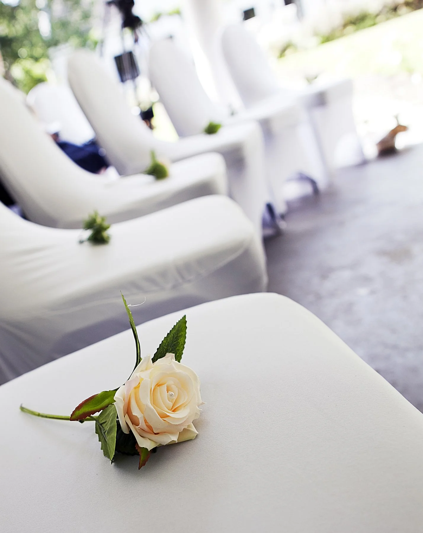 Weddings028.jpg