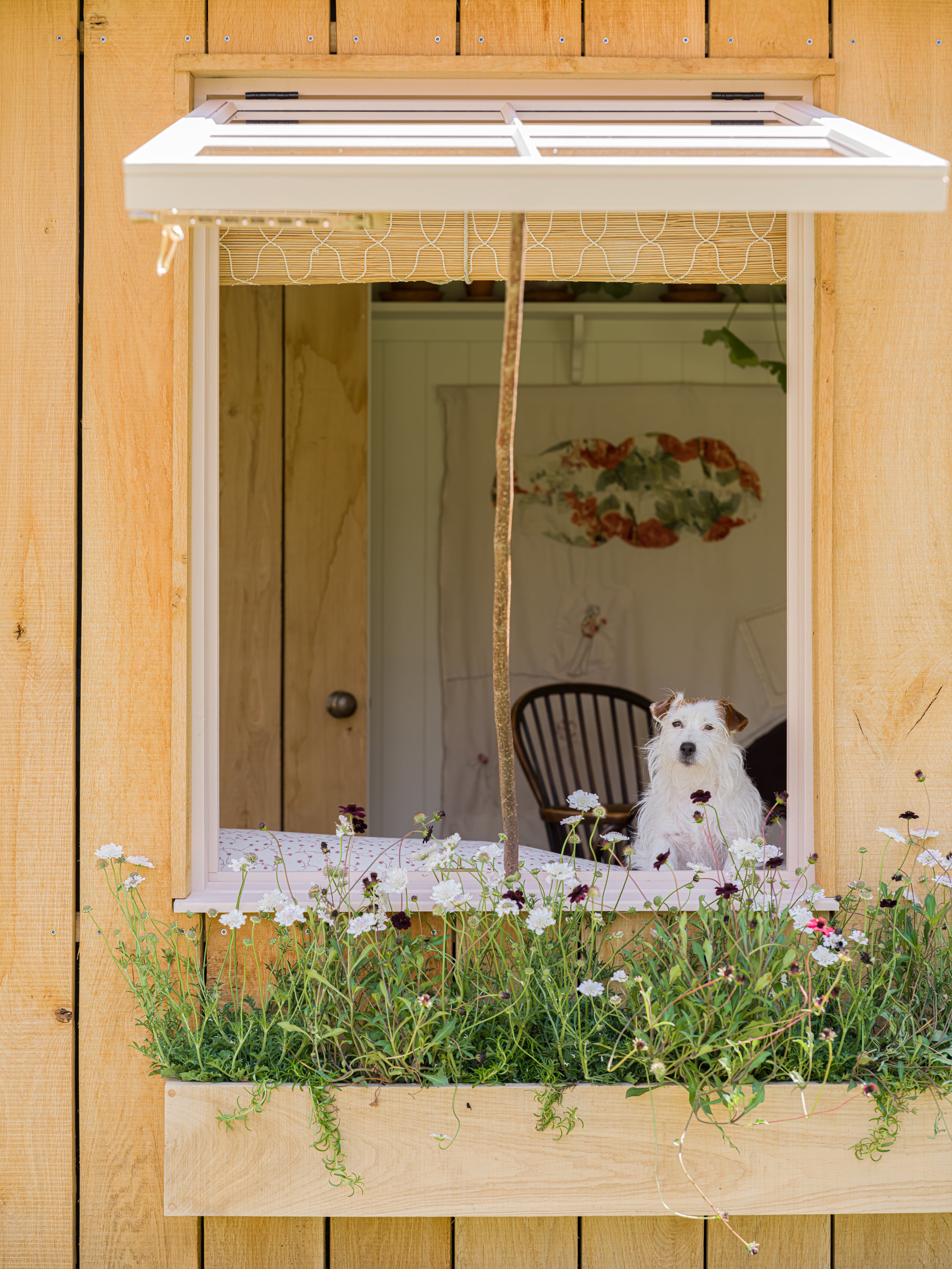 SarahFrancesKelley-042-WEB-EDIT.jpg