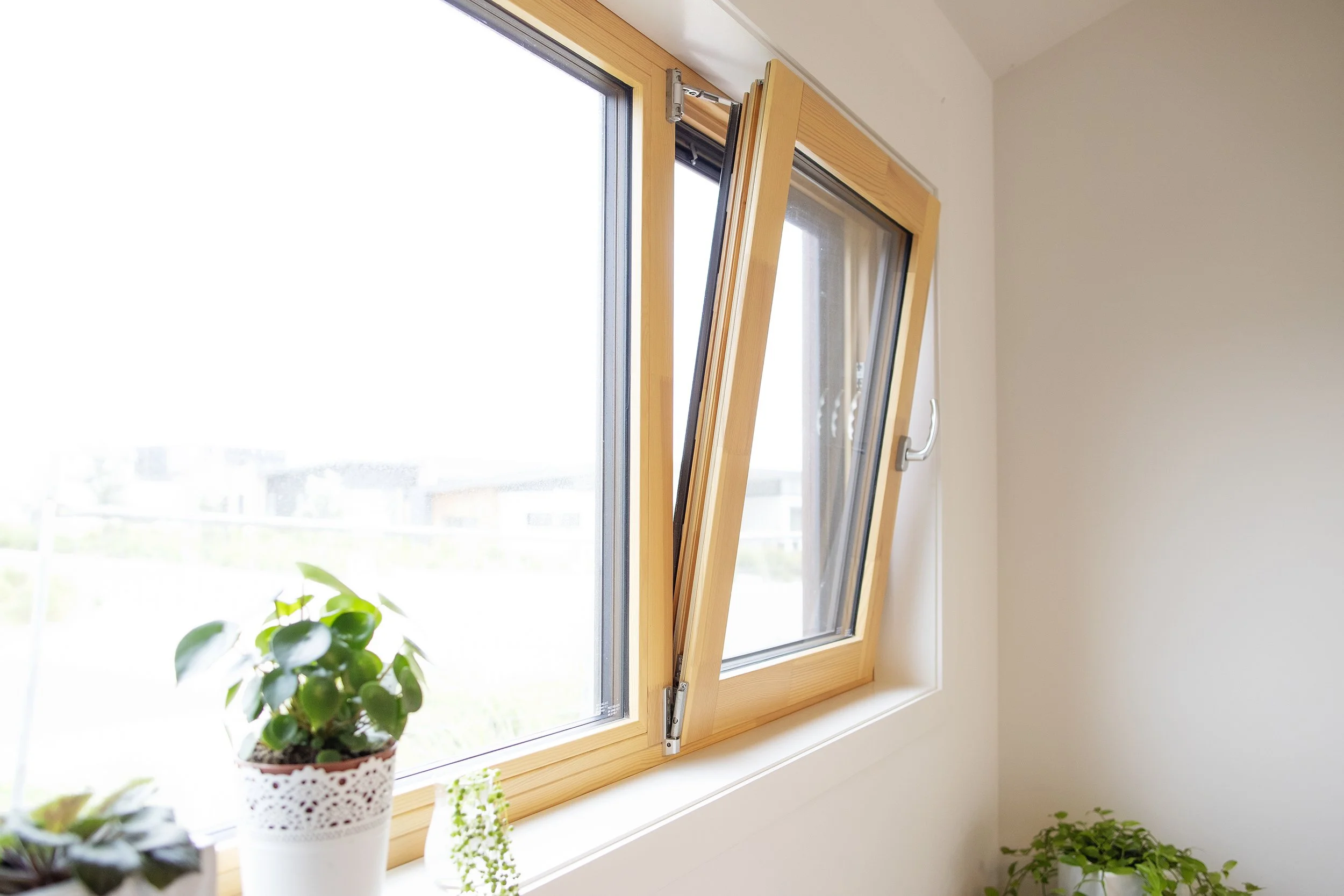 NSH_SUNLIGHT HOUSE_005.jpg