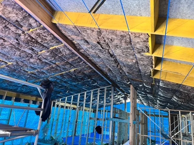 Roof Insulation.jpeg