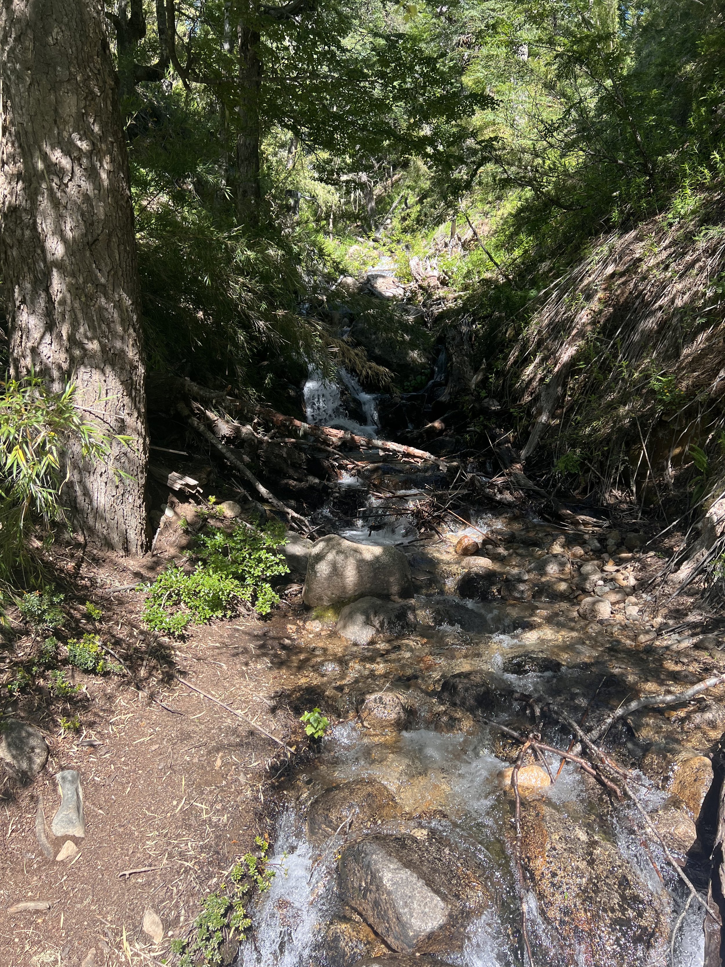 Water Path