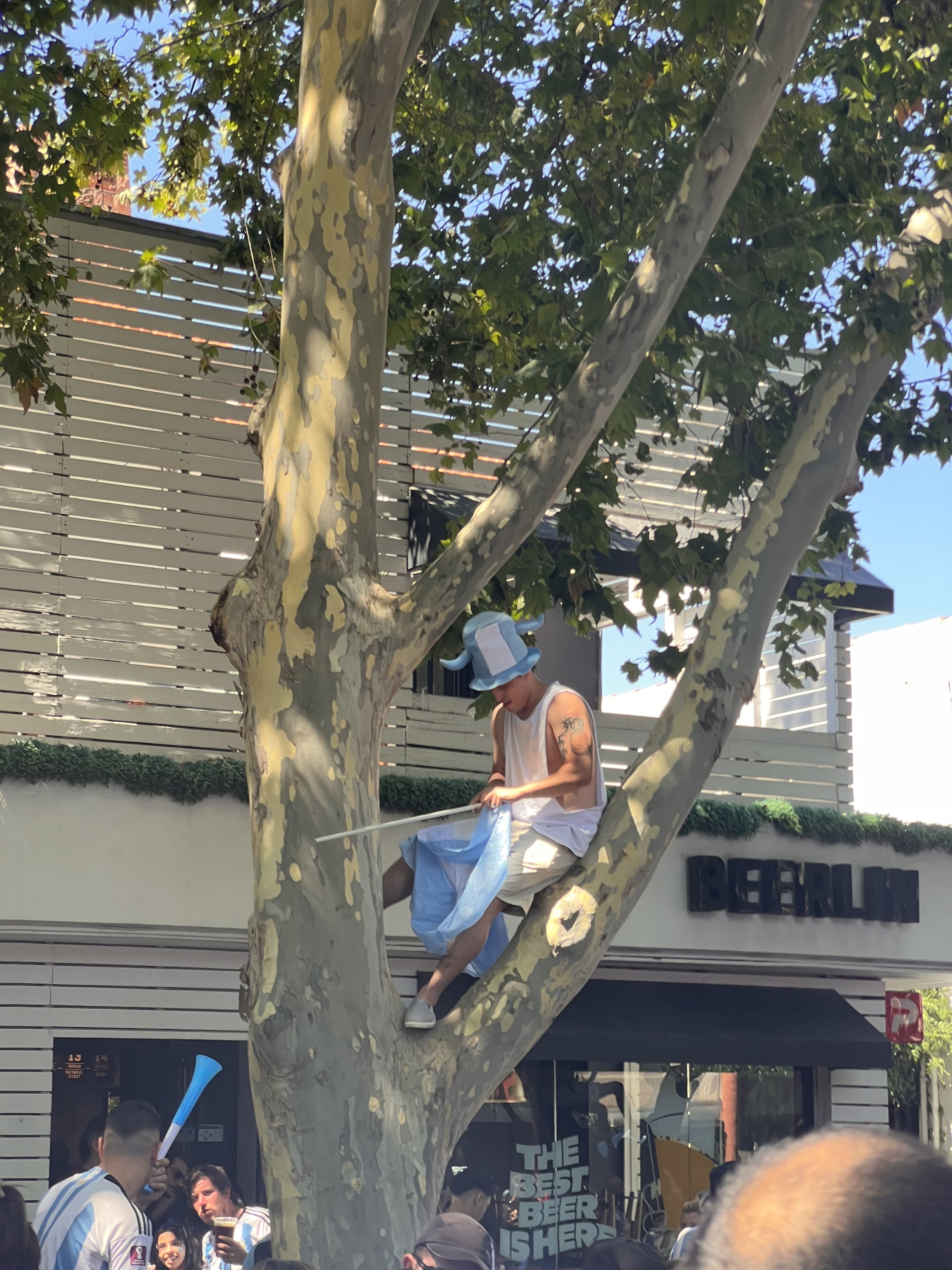 Tree Fiesta