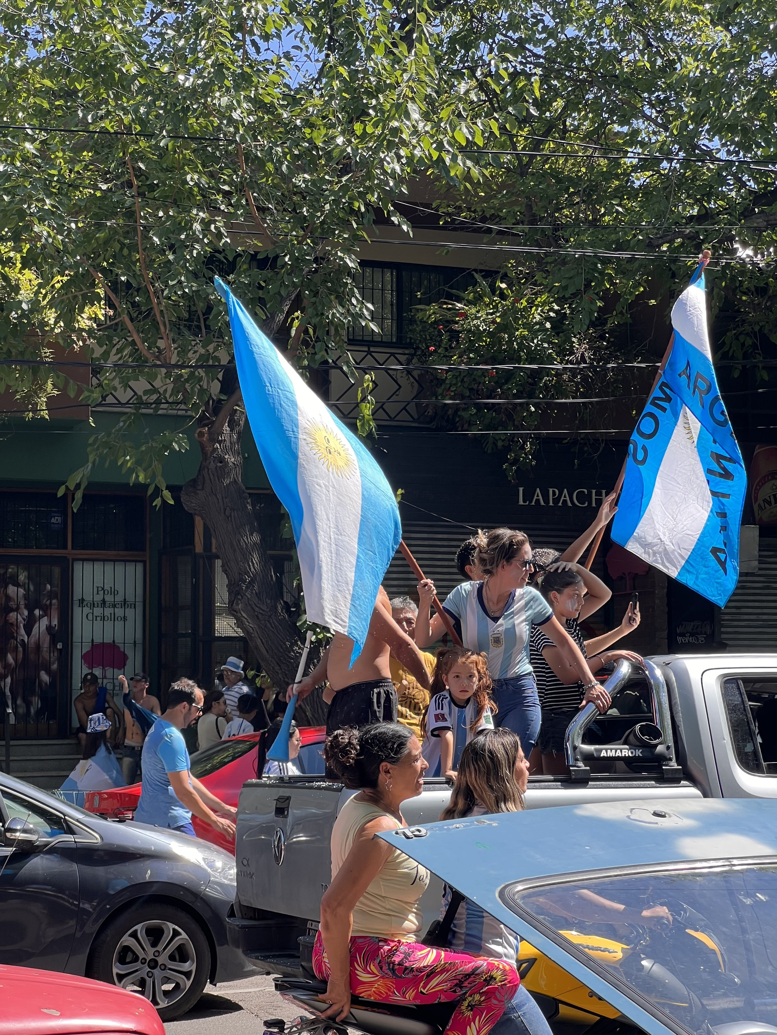 Waving Flags