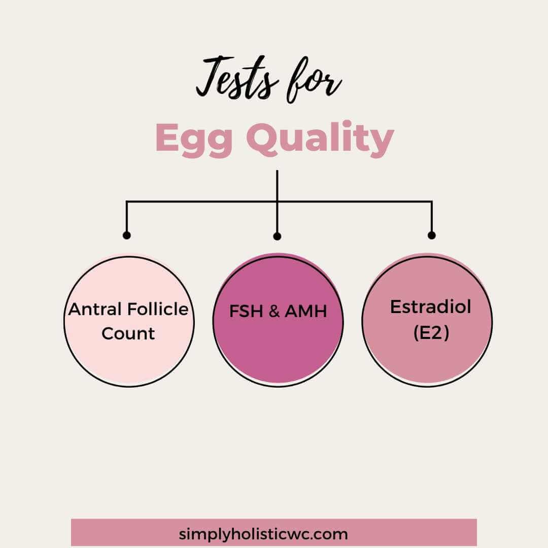 How to Improve Egg Quality Naturally for Pregnancy & IVF — Simply
