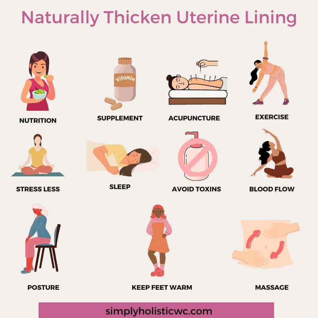 How to Thicken Uterine Lining Naturally to Boost Fertility — Simply ...
