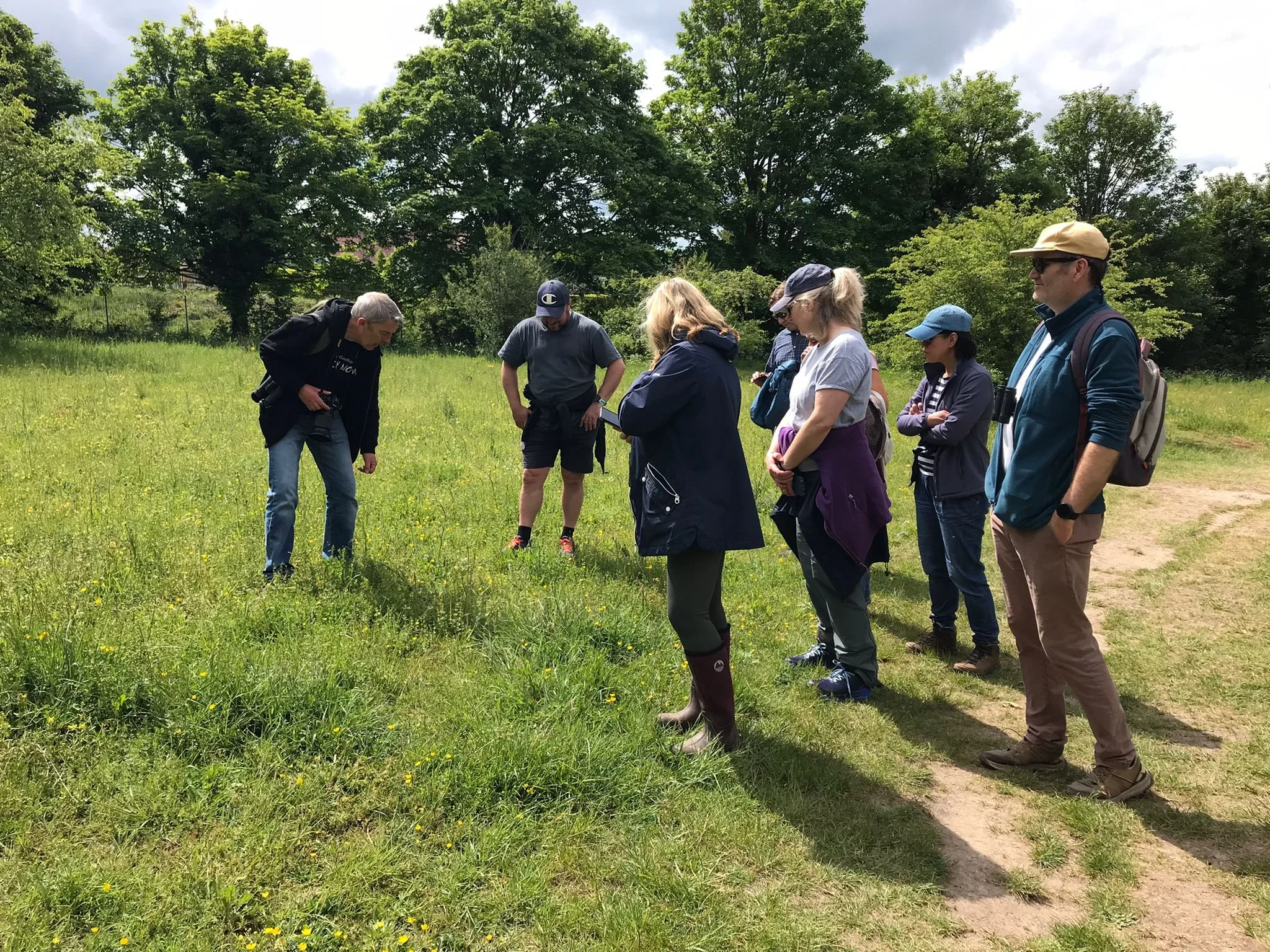 Walking In Nature : Following &amp; Leading