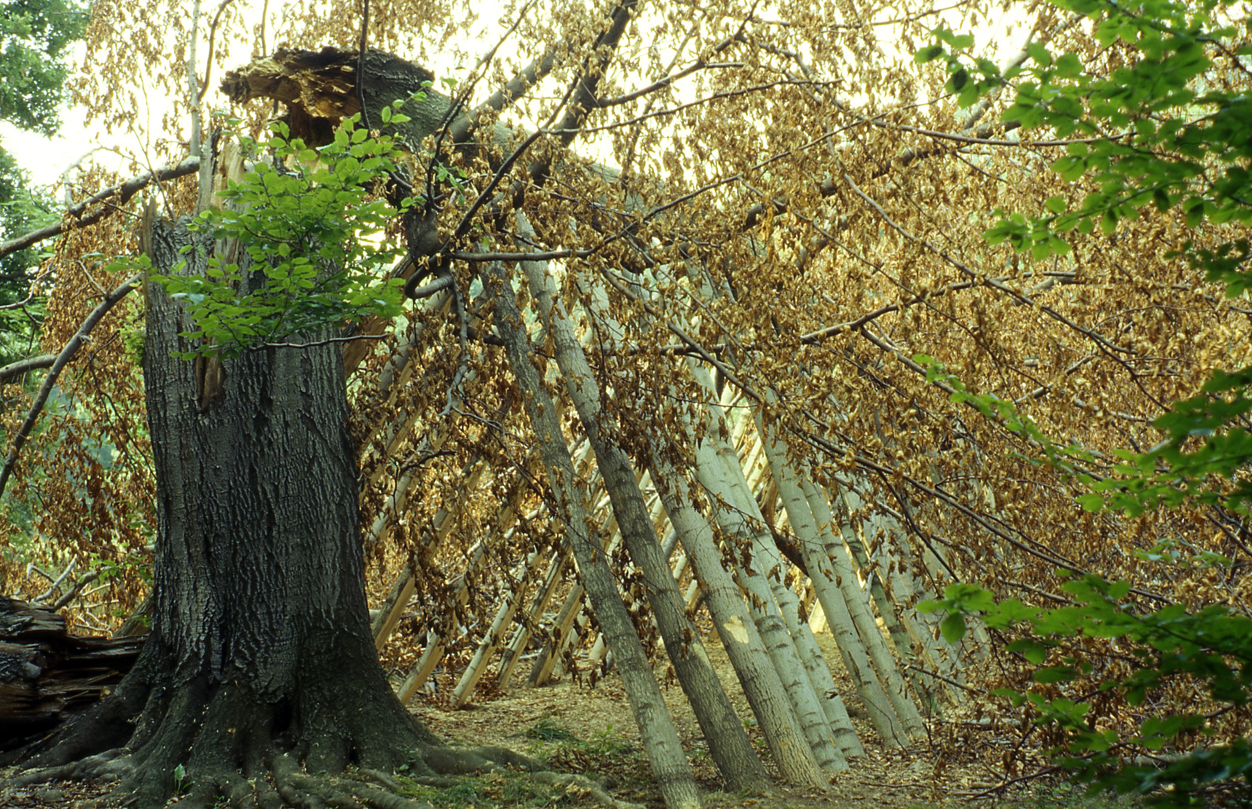 'Fallen' Ettersburg Castle, Weimar, Germany 1995.jpg