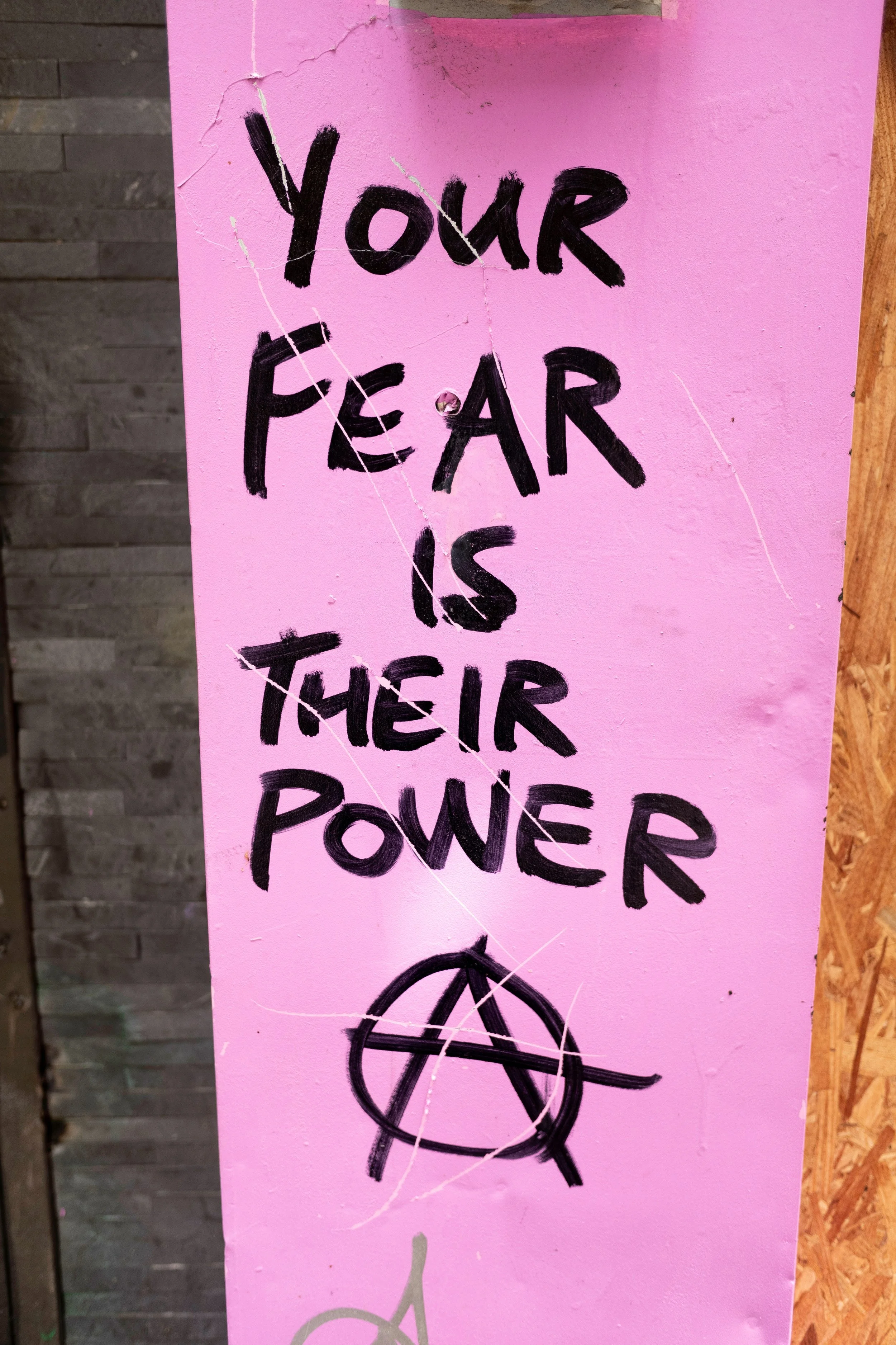Feed Your Insecurities…