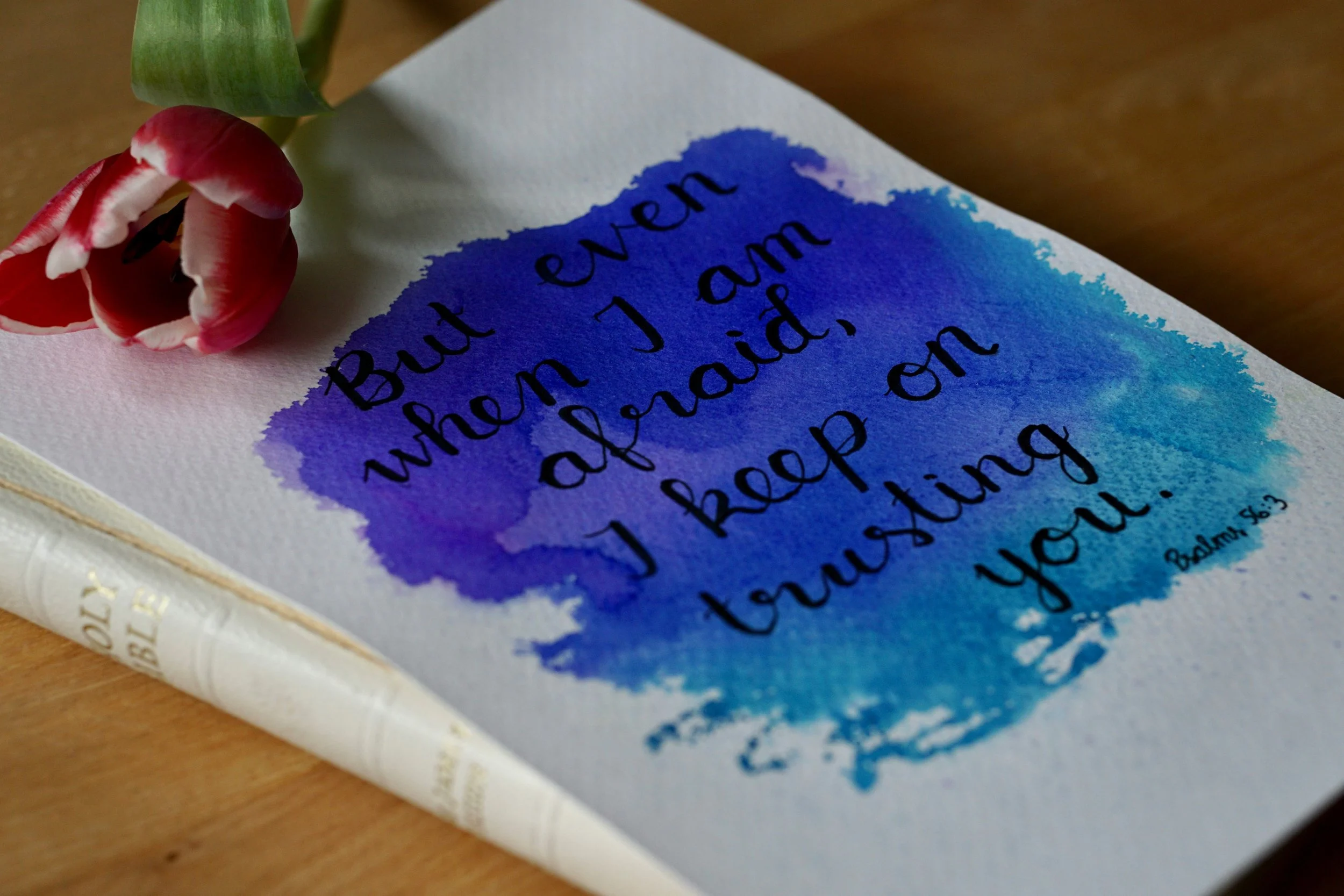 Can We Fix The Beautiful…