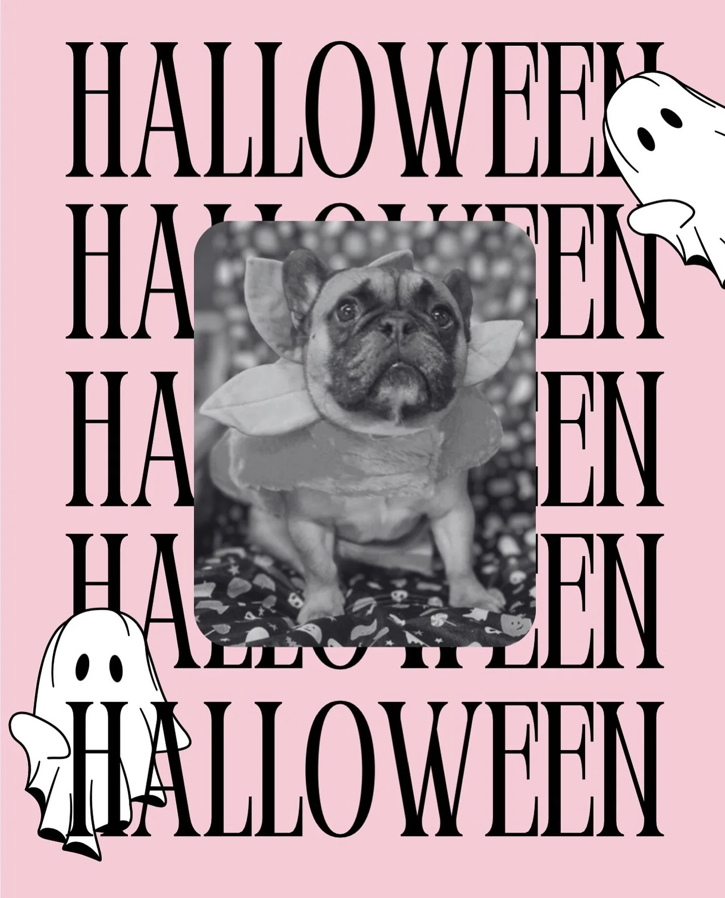 🕷️ Have a fab-boo-lous Halloween! 🕷️

Stay spooky, stay stylish, and remember &mdash; bad hair days are scarier than ghosts 💀✂️

#HappyHalloween  #HalloweenHair  #SpookySeason  #Halloween2025  #OctoberVibes 
#SalonsOfUK  #UKHairSalon  #HairGoals  