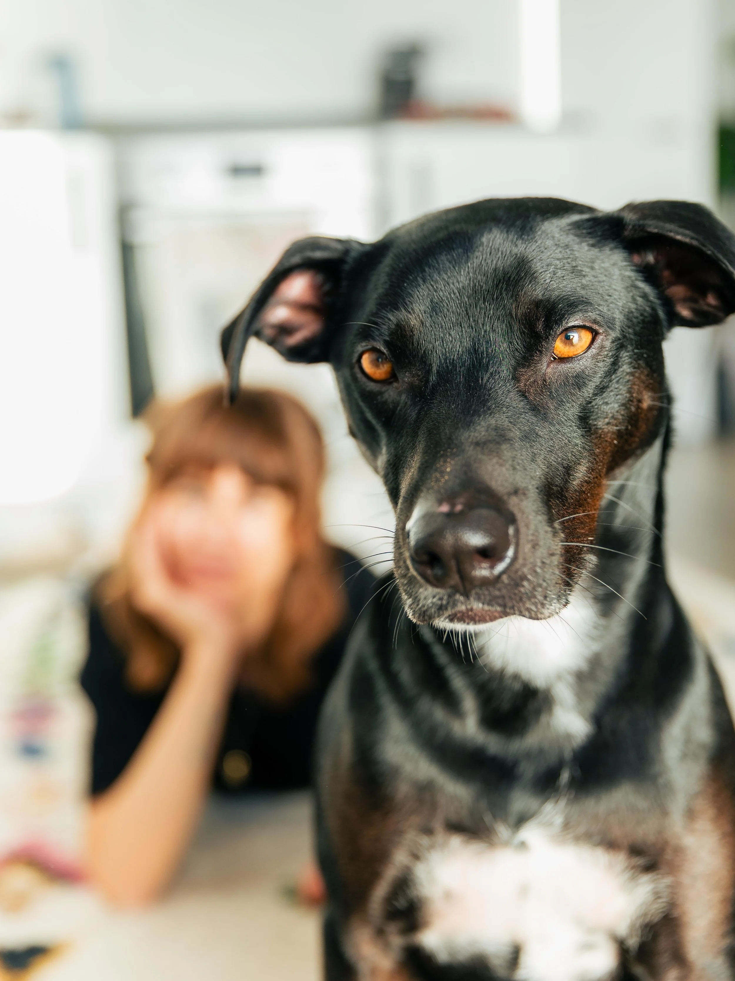 Close-up of a black and brown dog with amber eyes in the foreground, with a woman smiling and resting her chin on her hand in the background in a blurred indoor setting.