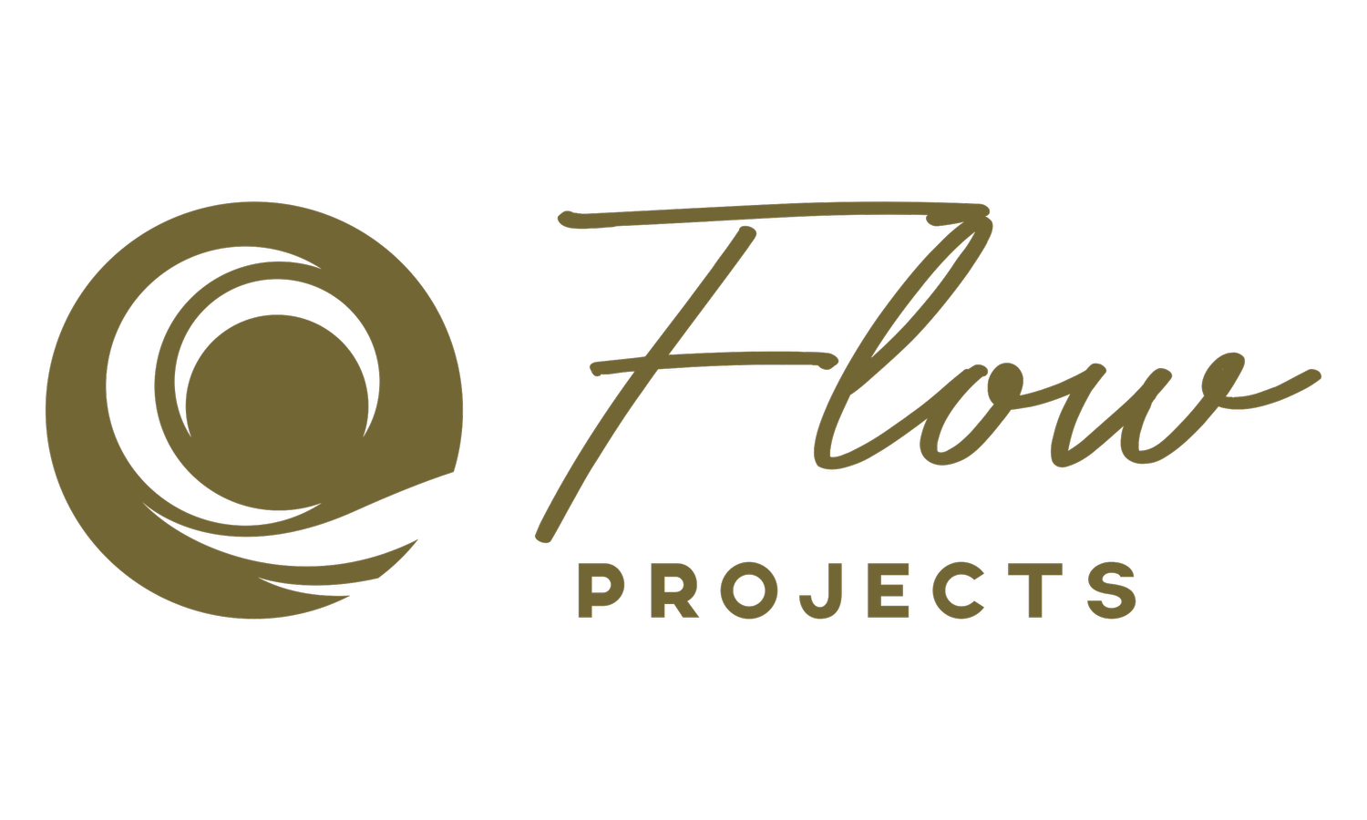 Flow Projects GmbH